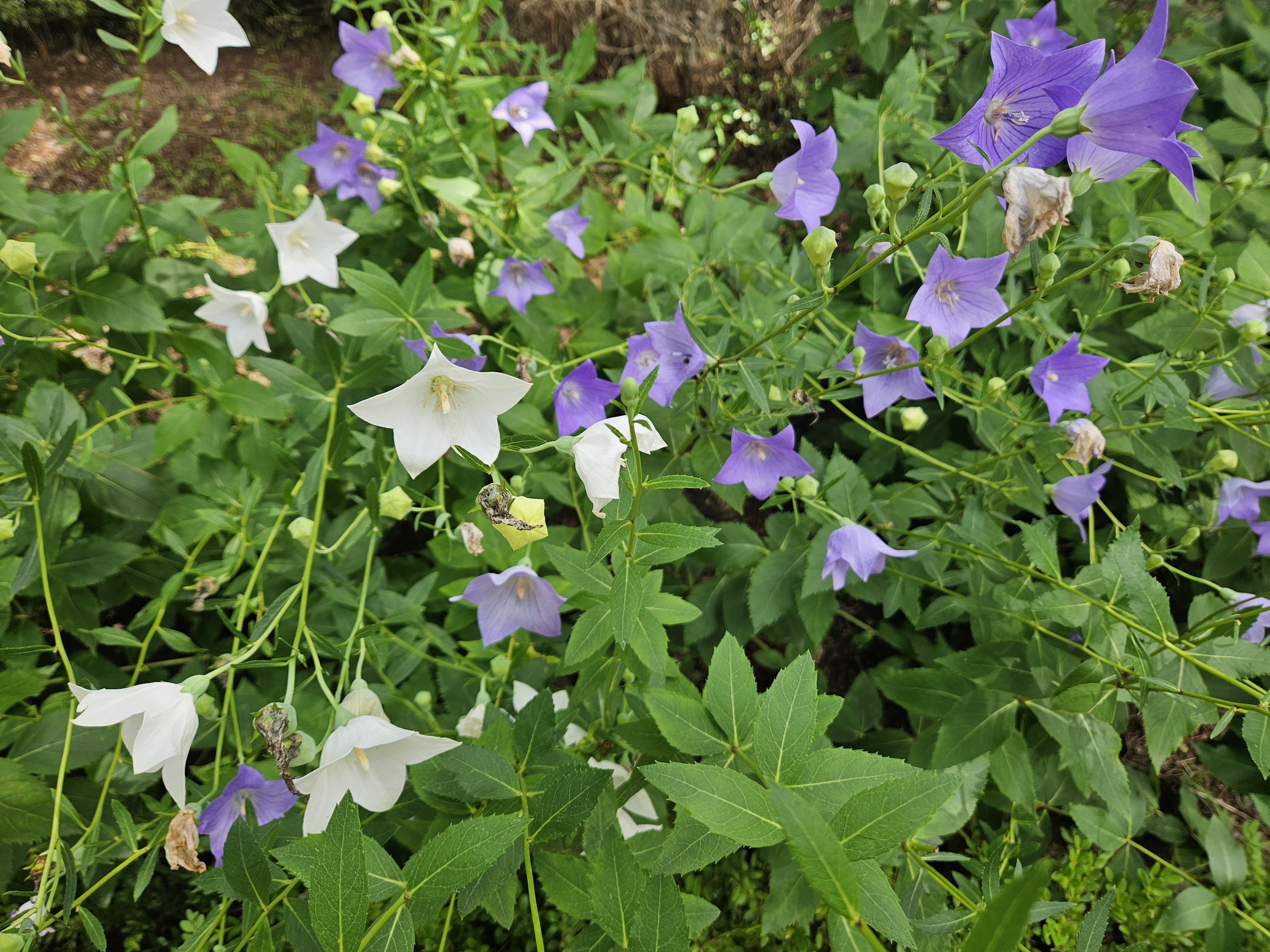 작성자 프로필 이미지