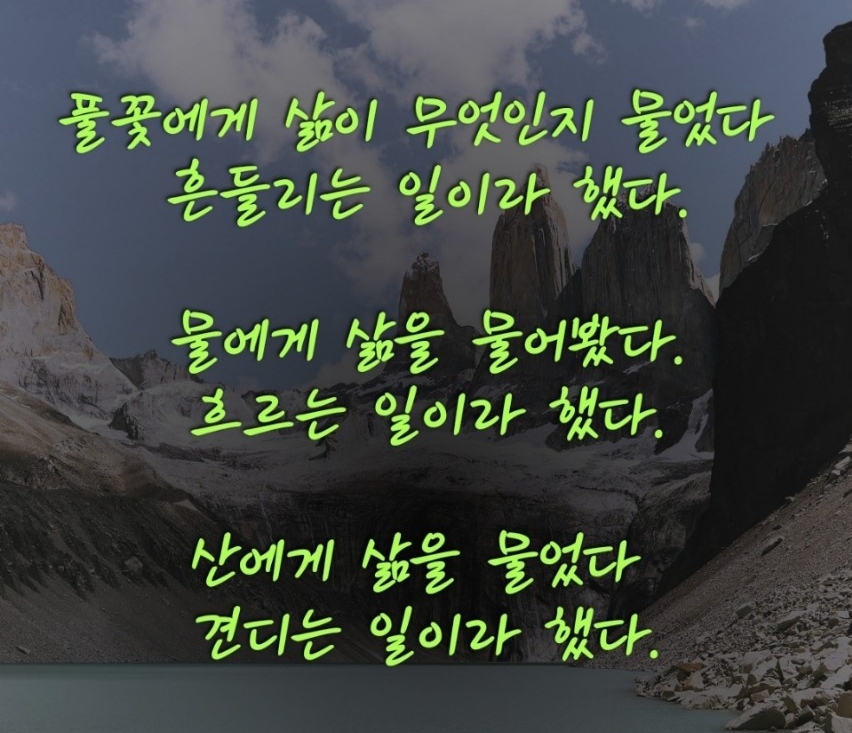 작성자 프로필 이미지