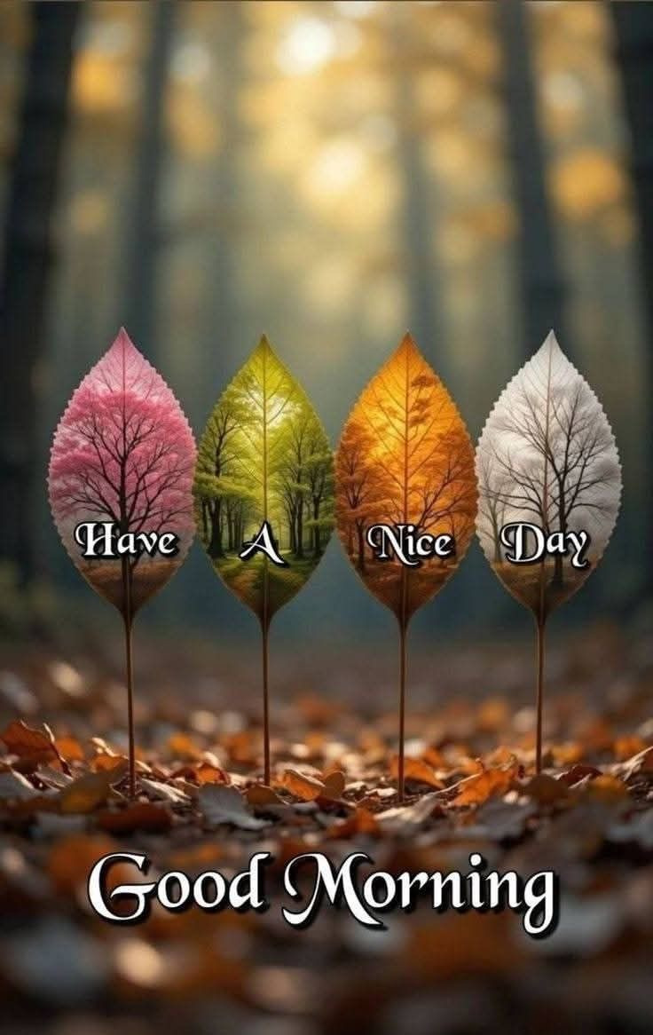 작성자 프로필 이미지