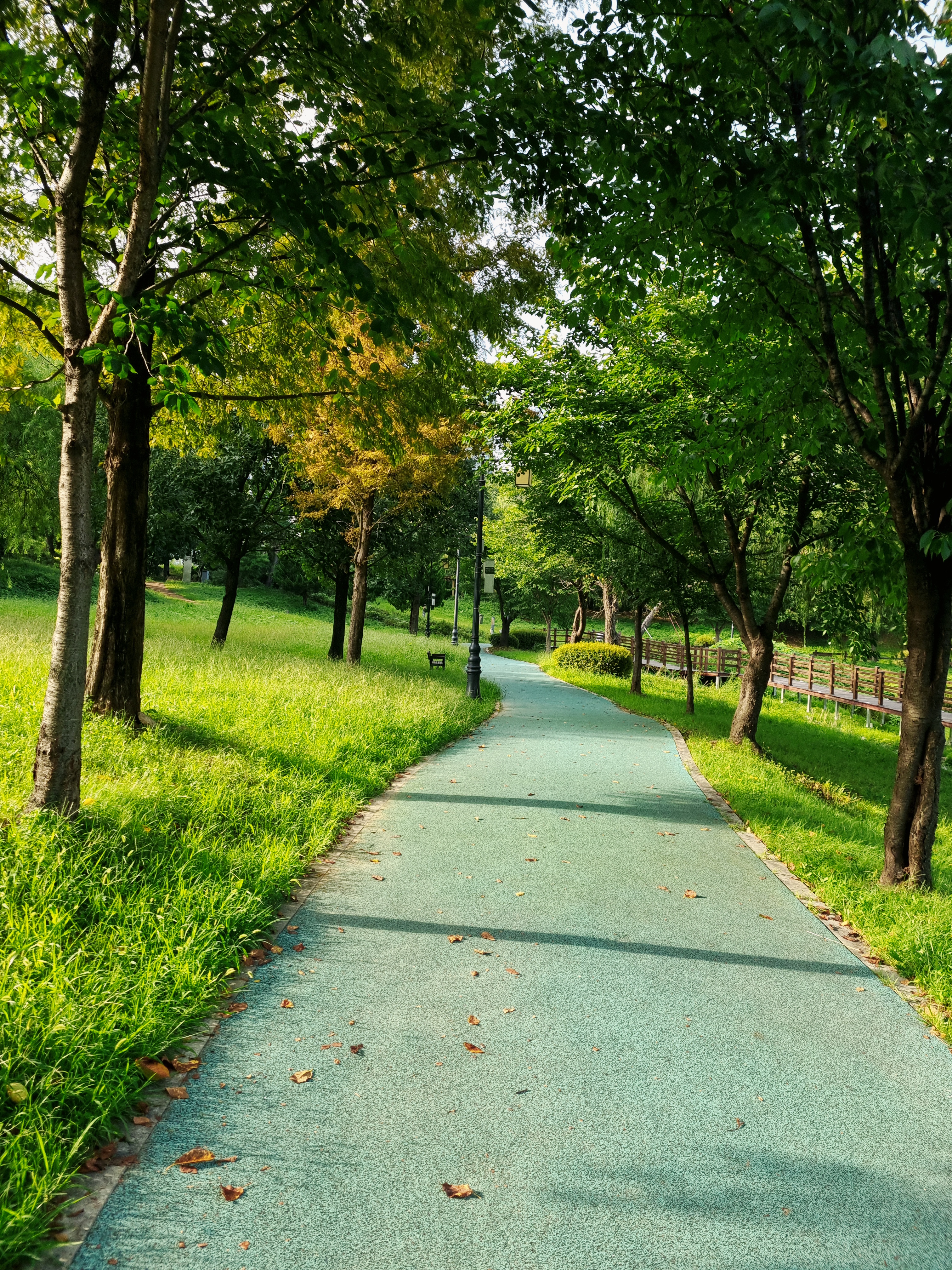 작성자 프로필 이미지