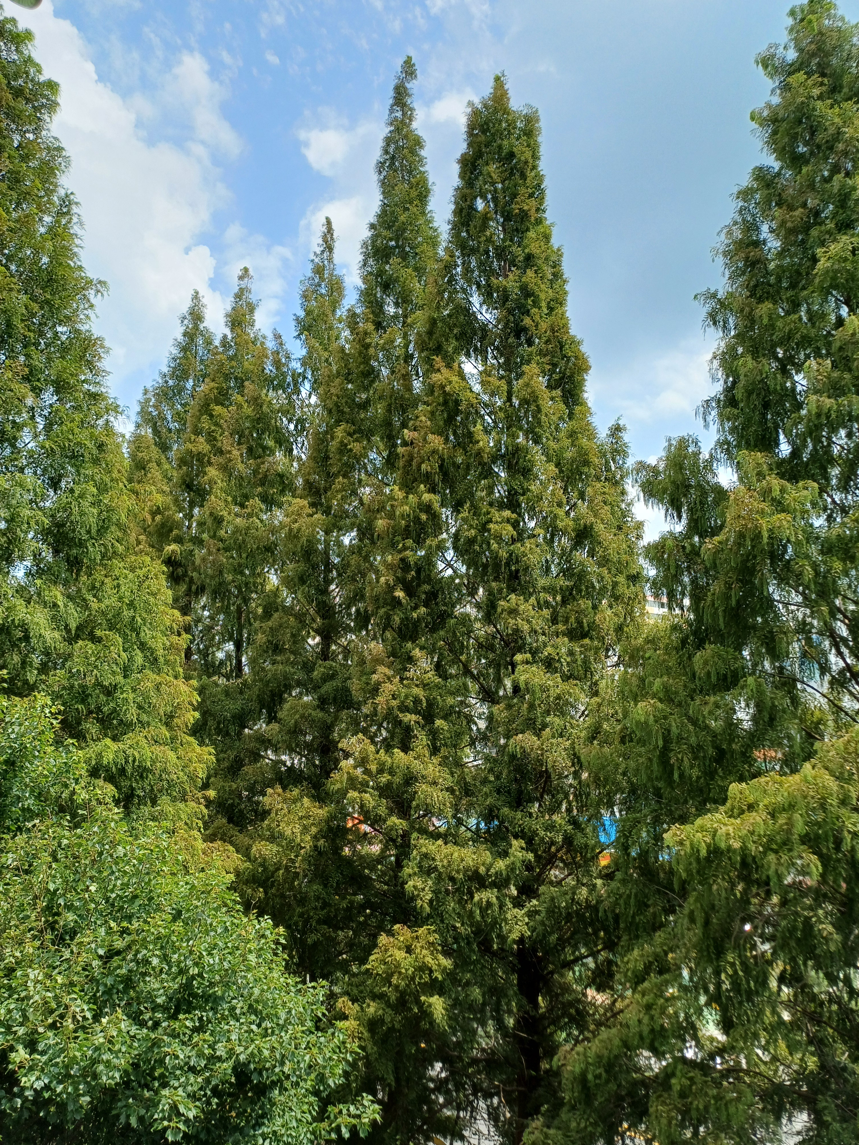 작성자 프로필 이미지