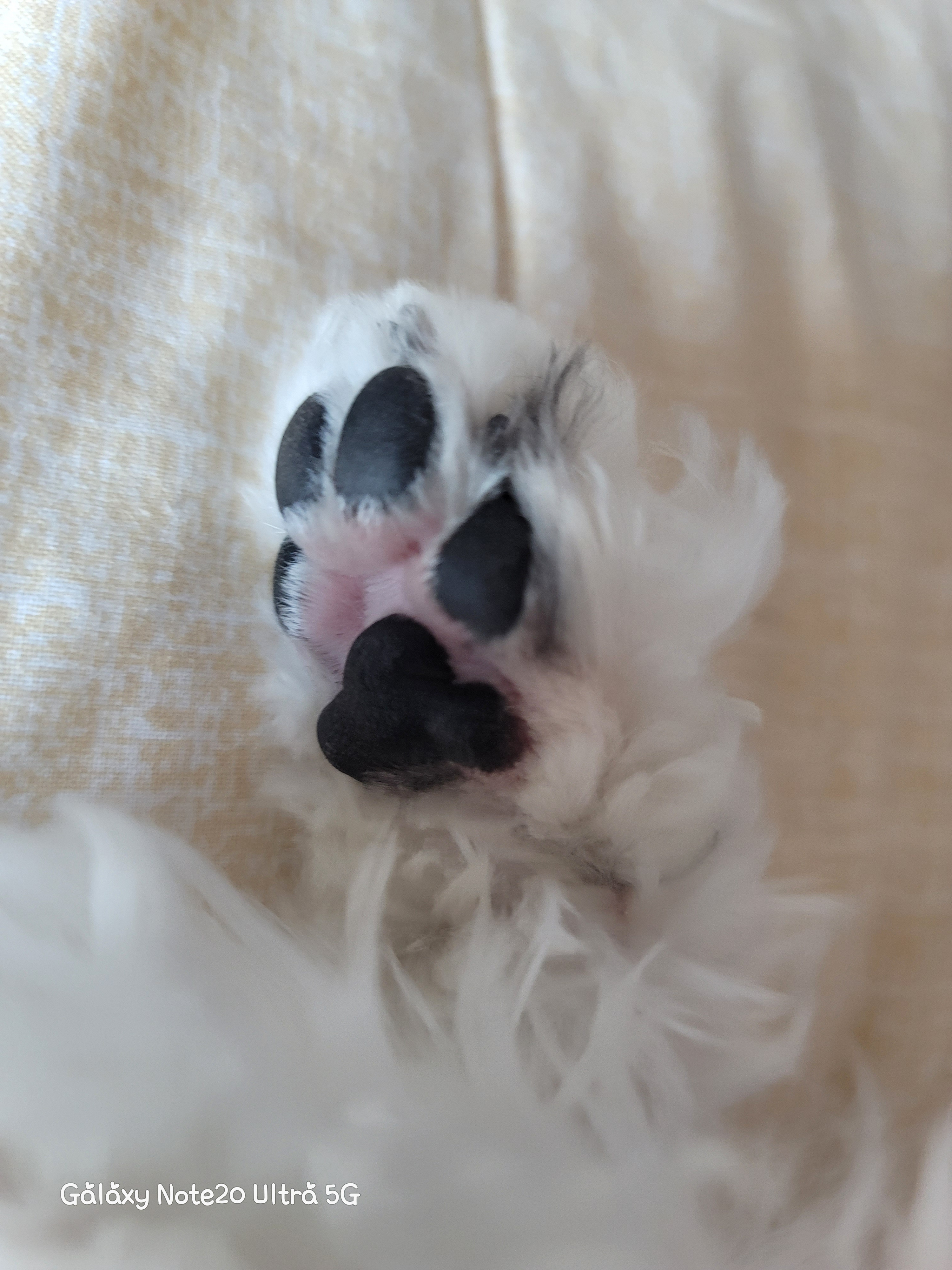 작성자 프로필 이미지