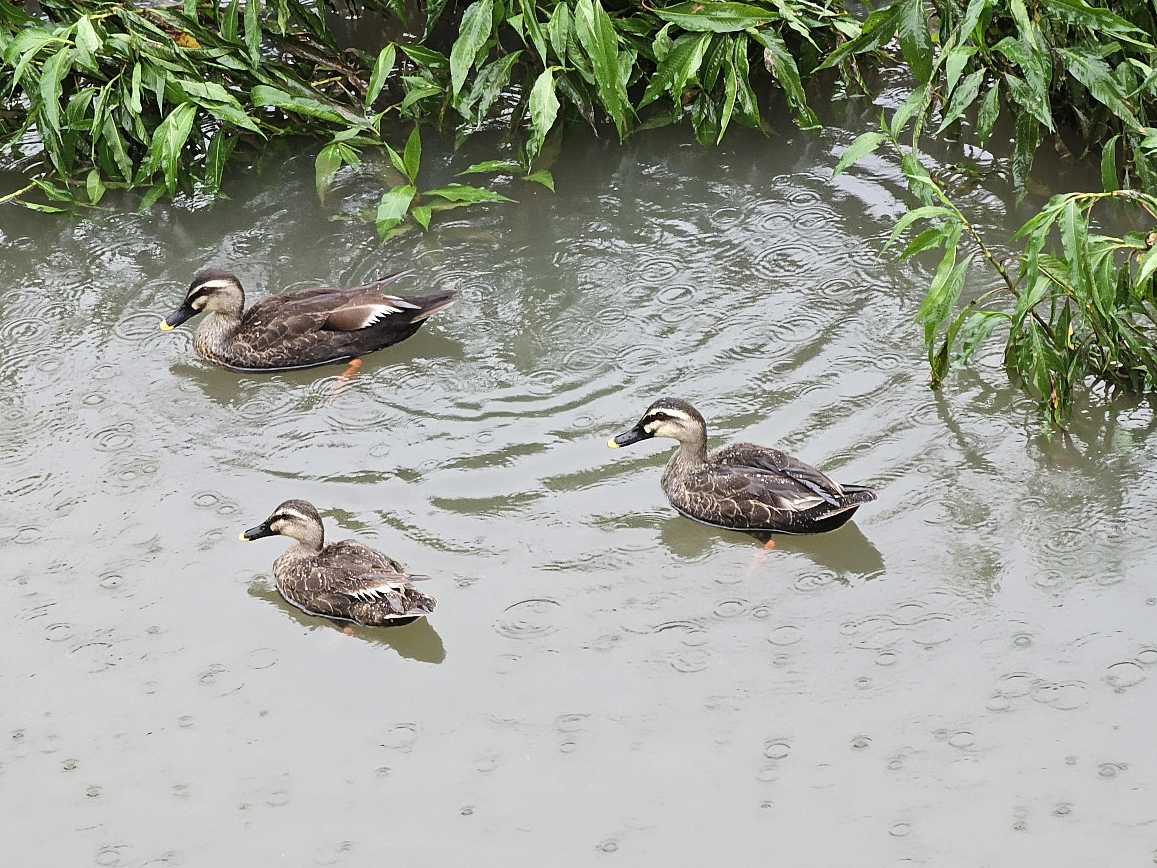 작성자 프로필 이미지