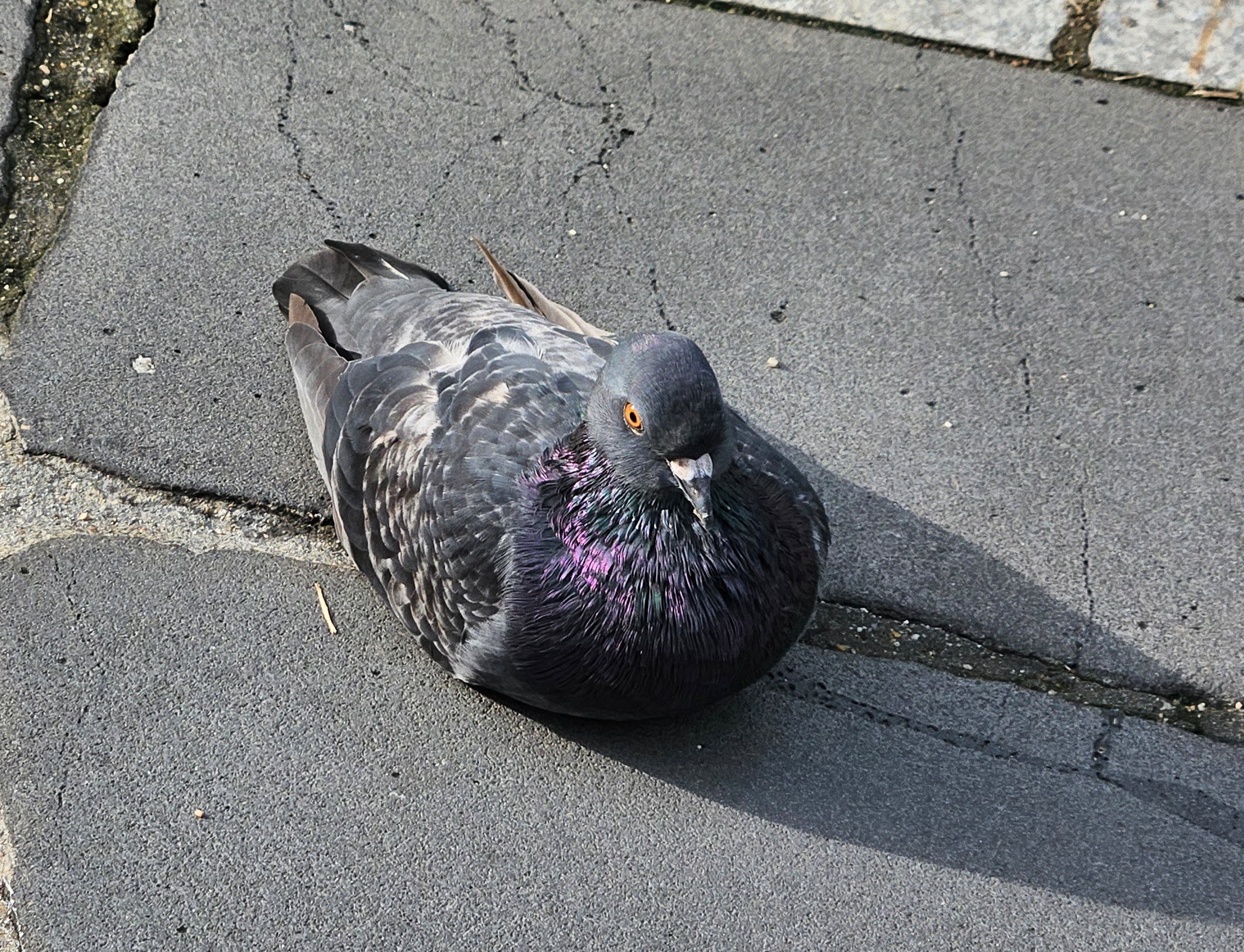 작성자 프로필 이미지