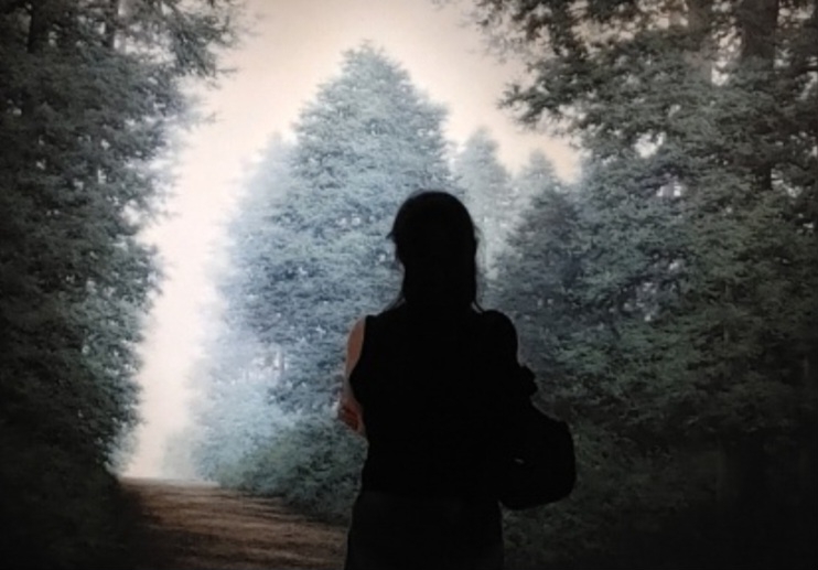 작성자 프로필 이미지