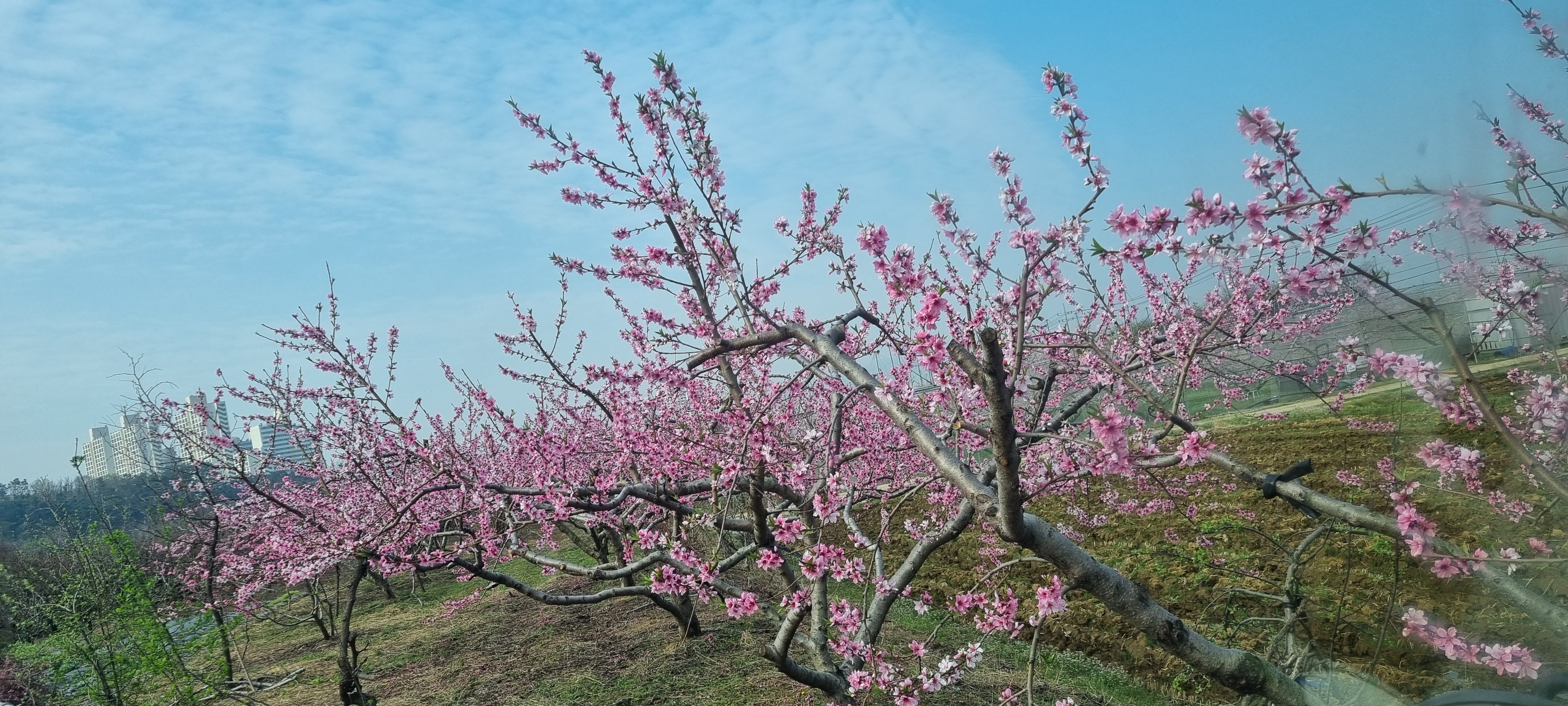 작성자 프로필 이미지