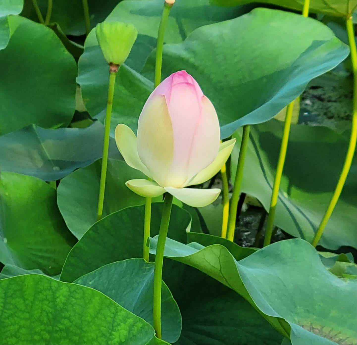 작성자 프로필 이미지