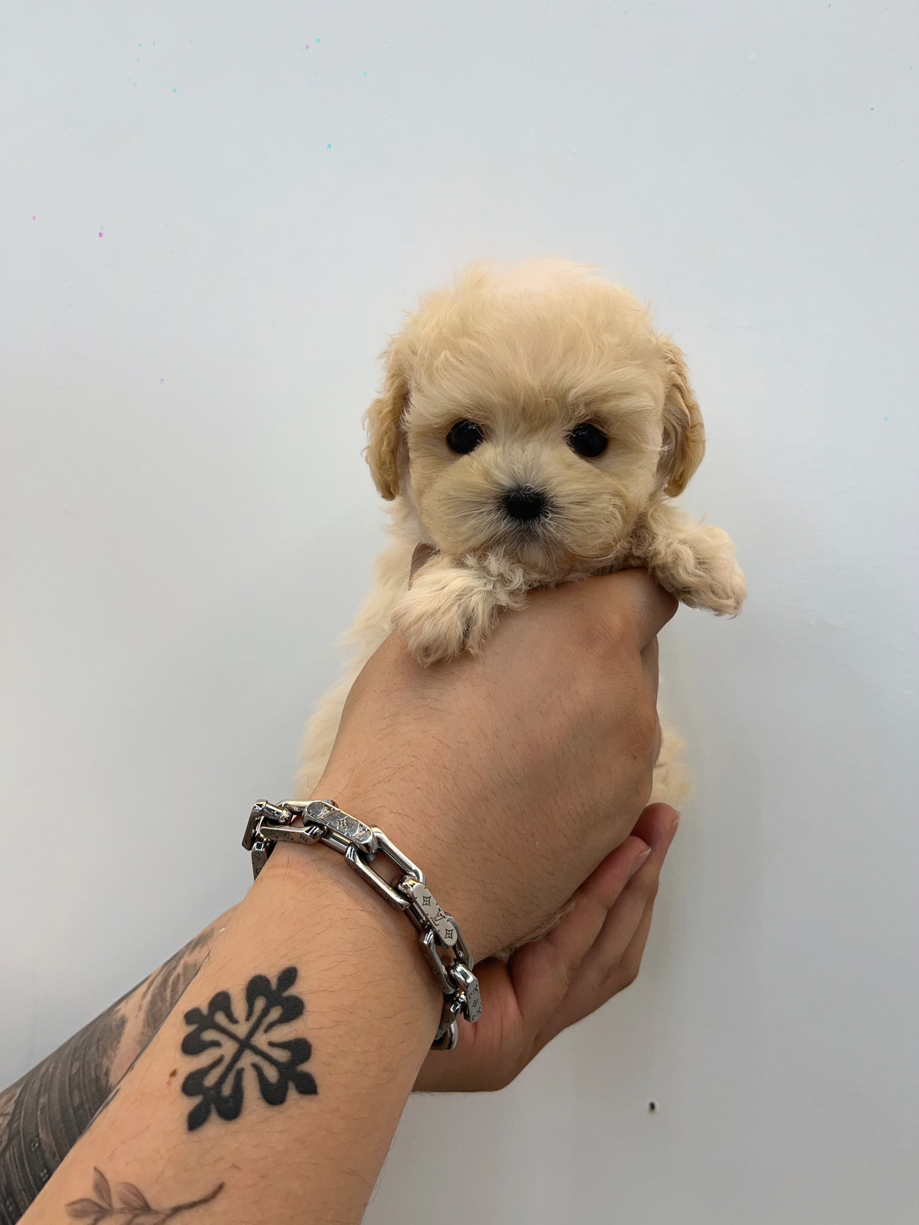 작성자 프로필 이미지