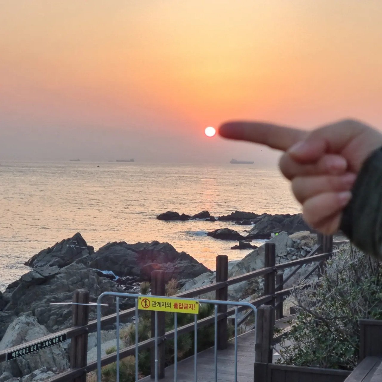 작성자 프로필 이미지