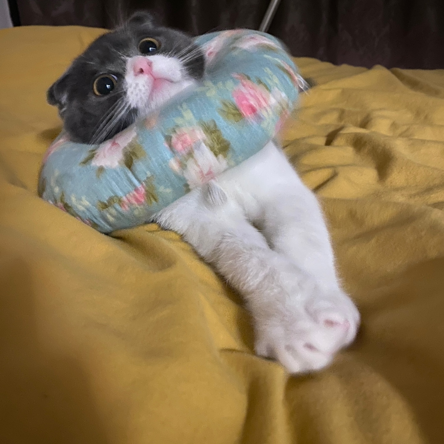 작성자 프로필 이미지