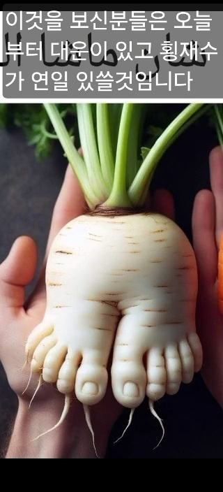 작성자 프로필 이미지