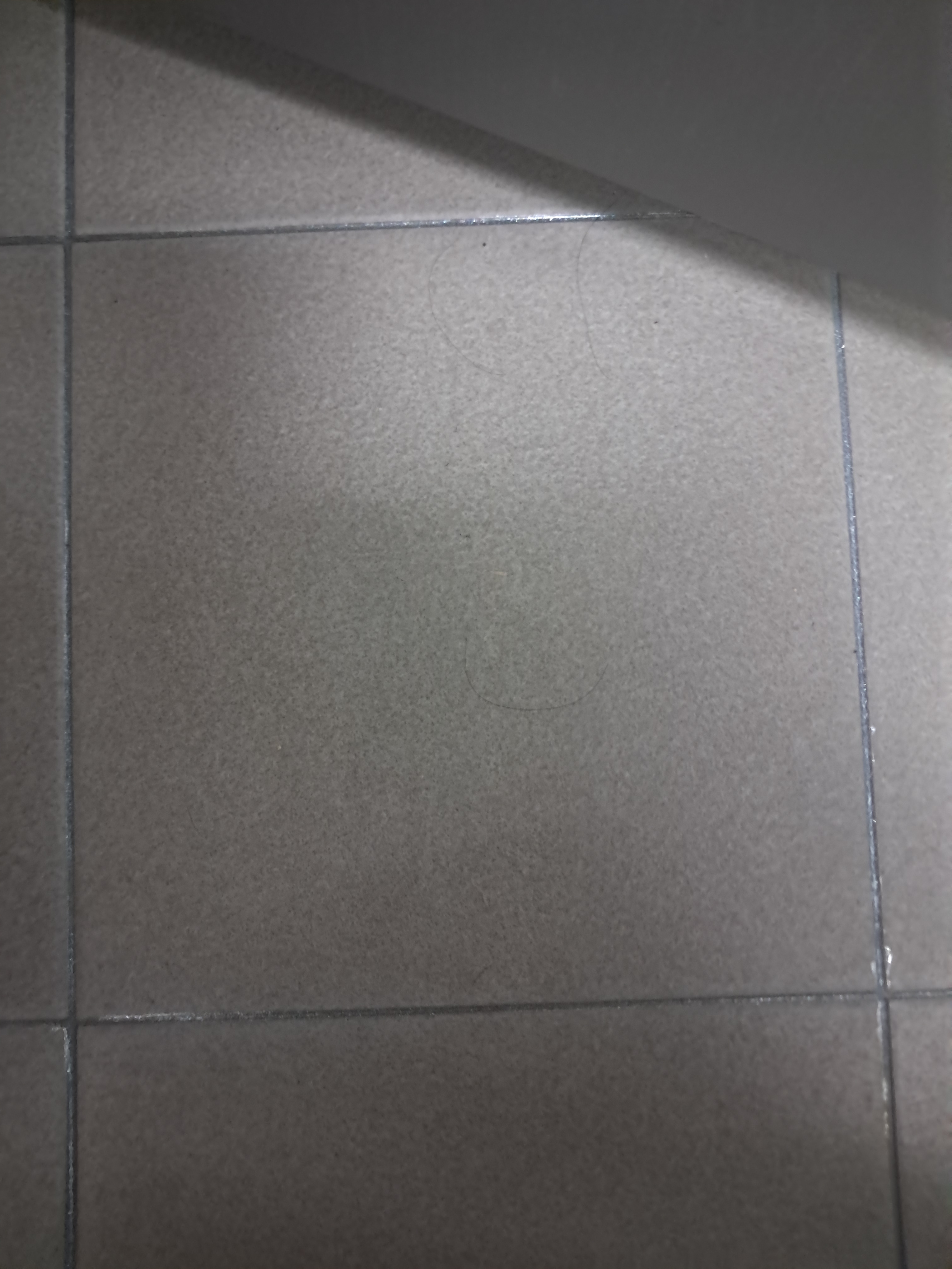 작성자 프로필 이미지