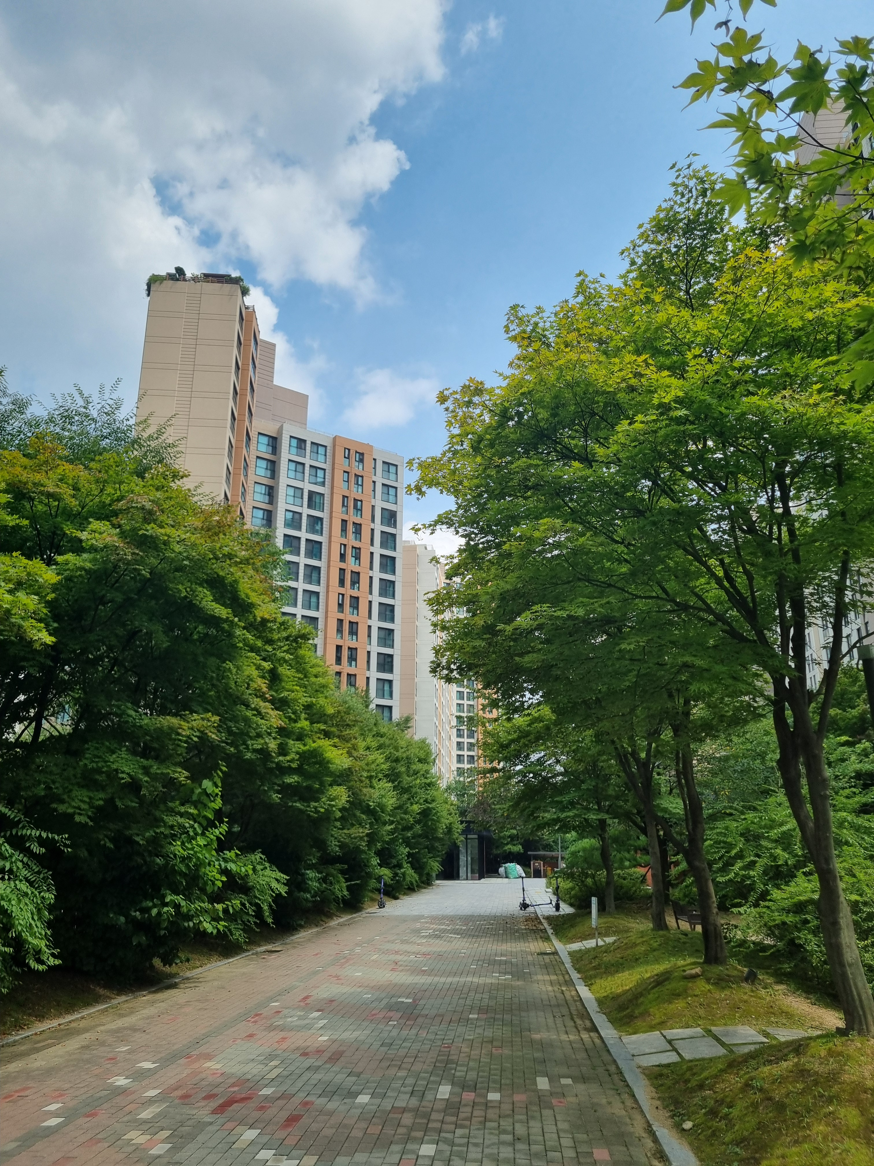 작성자 프로필 이미지