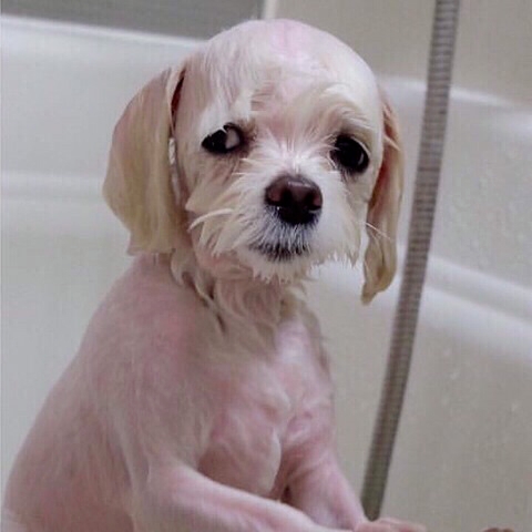 작성자 프로필 이미지