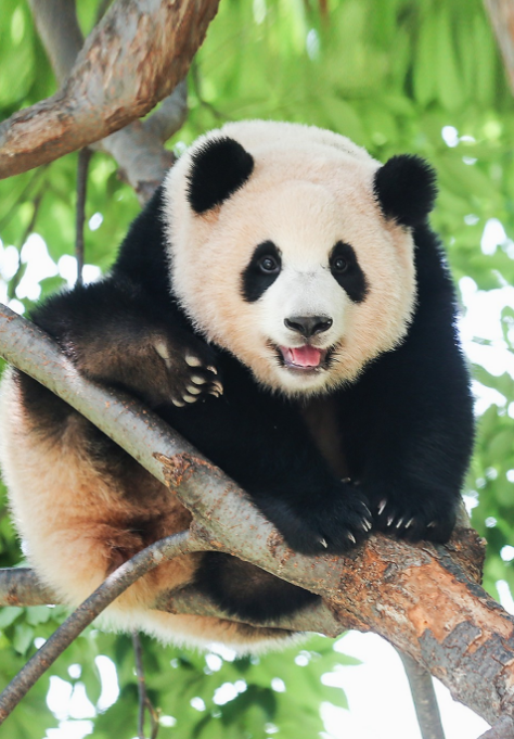 작성자 프로필 이미지