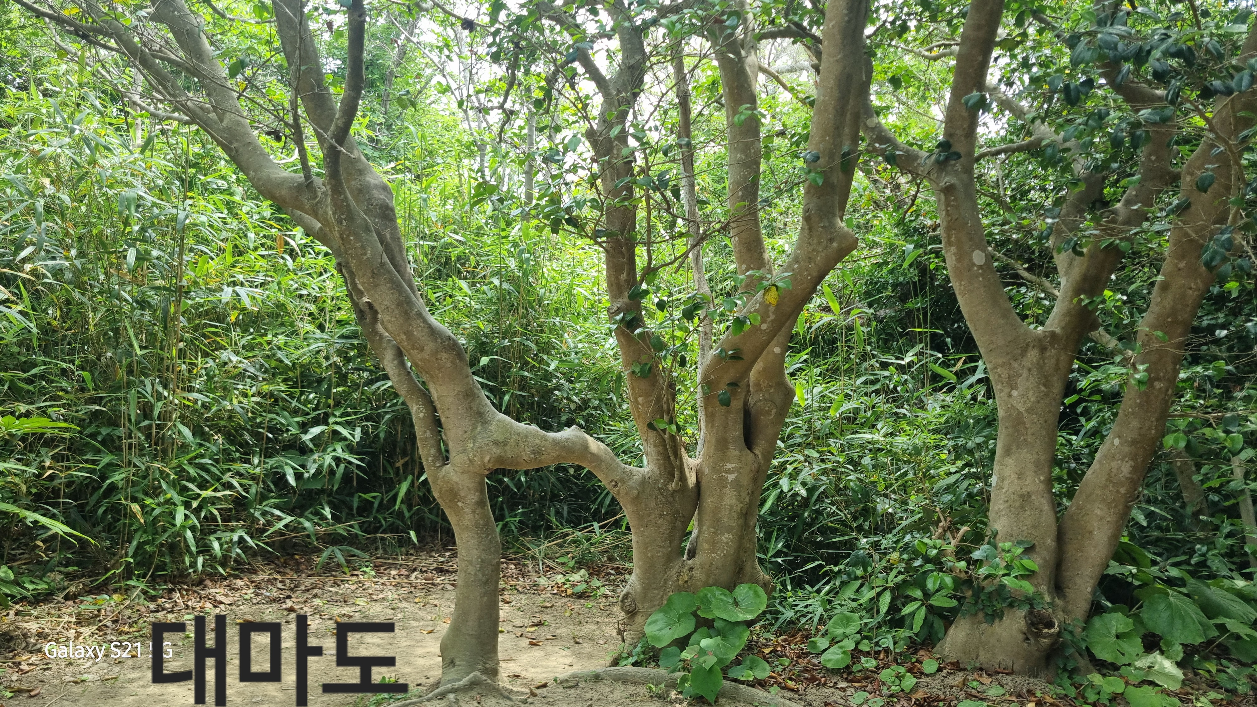 작성자 프로필 이미지