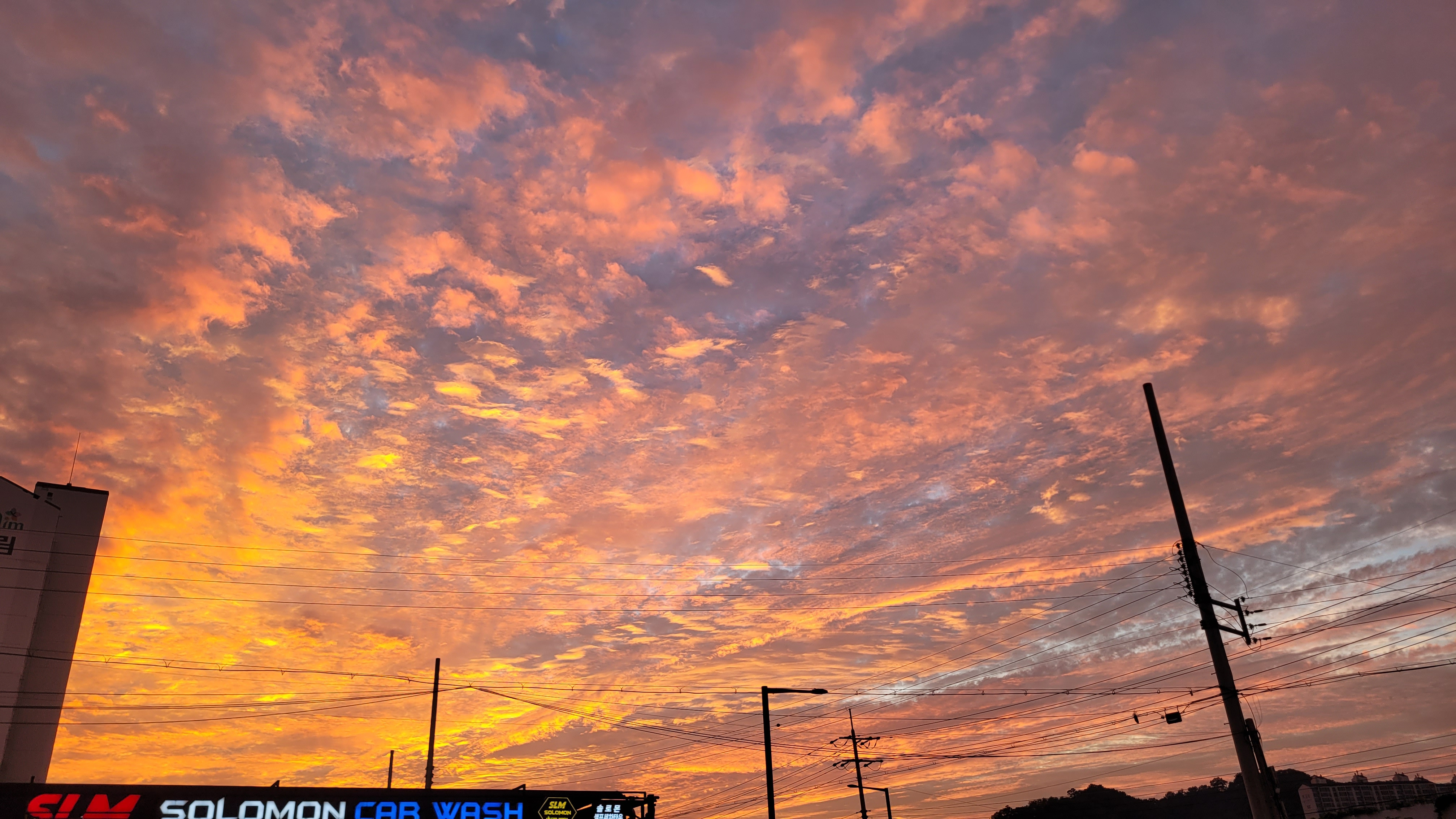 작성자 프로필 이미지