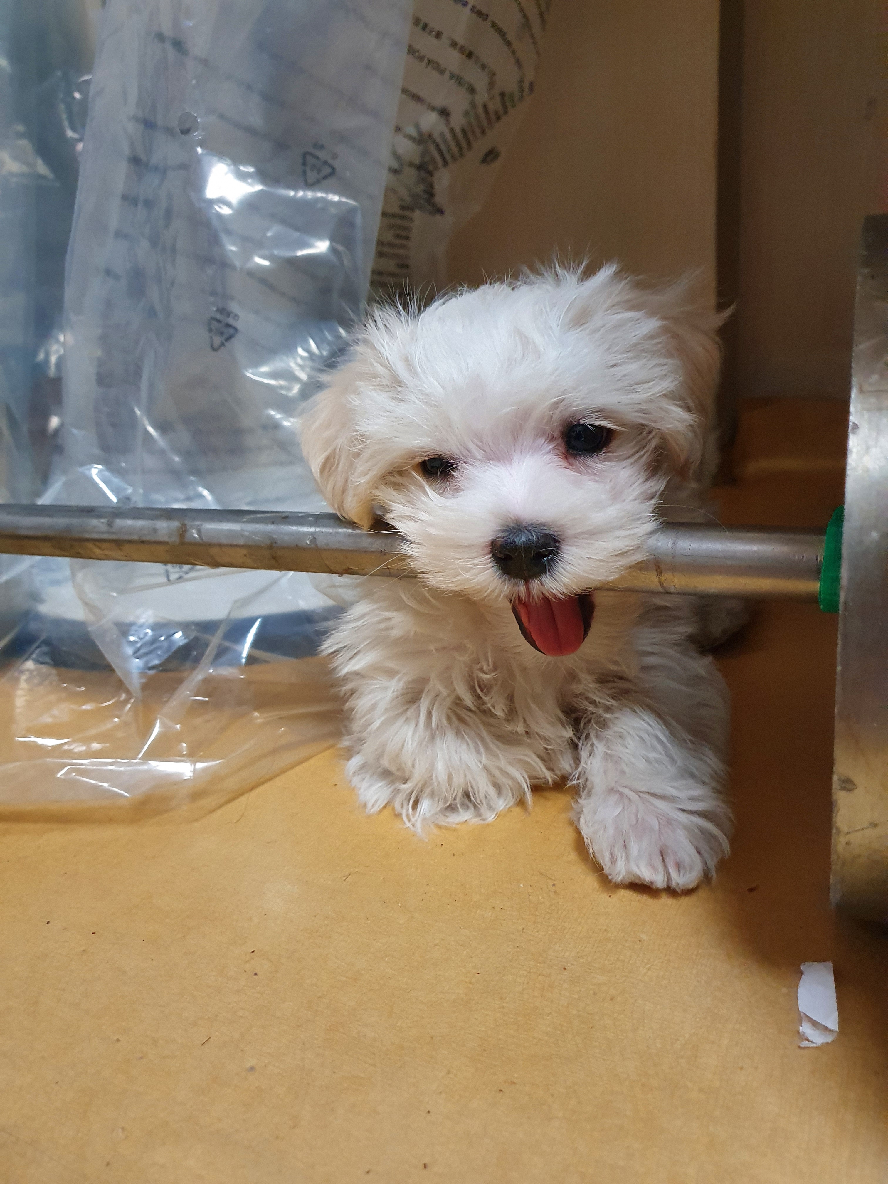 작성자 프로필 이미지