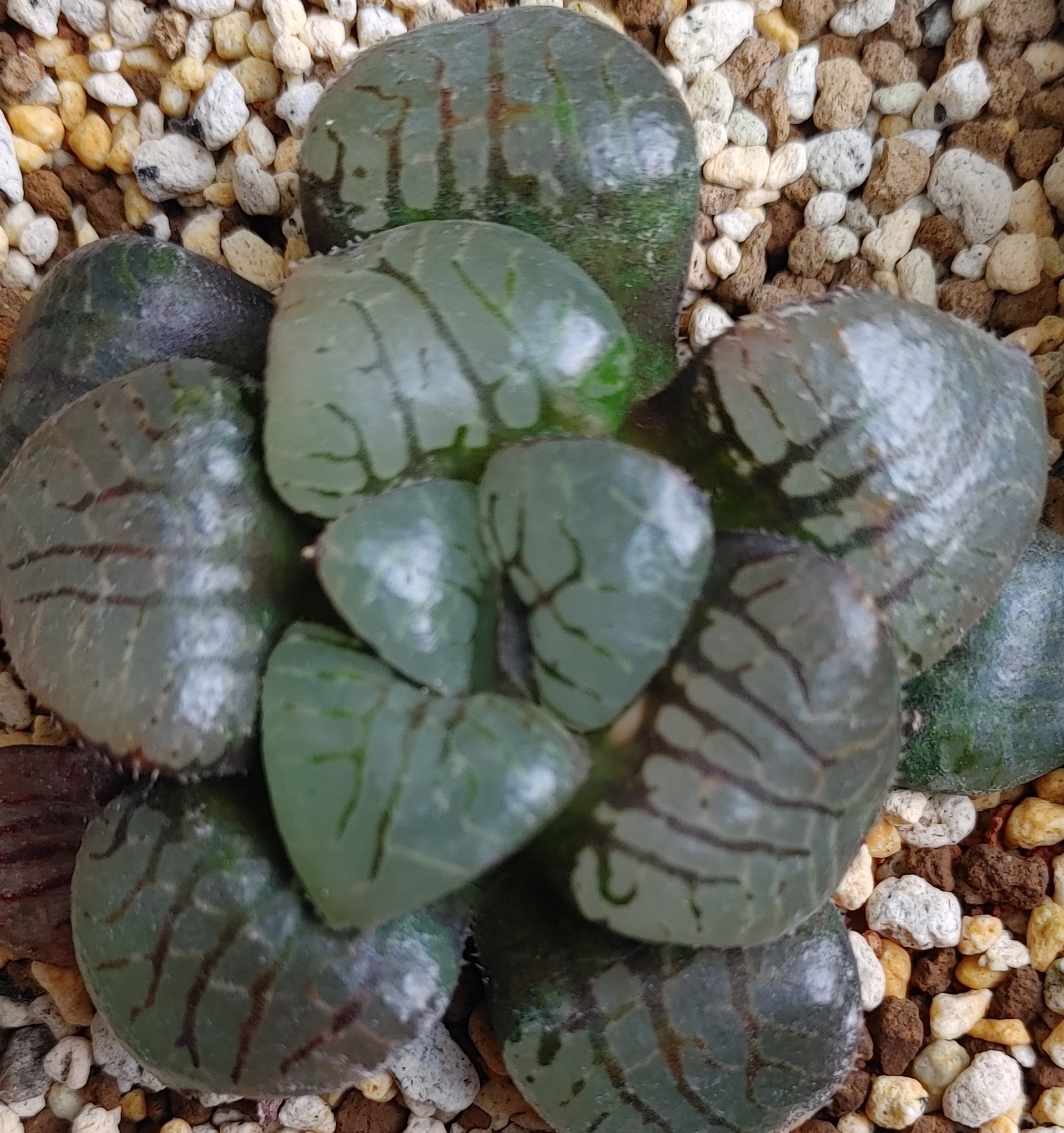 작성자 프로필 이미지