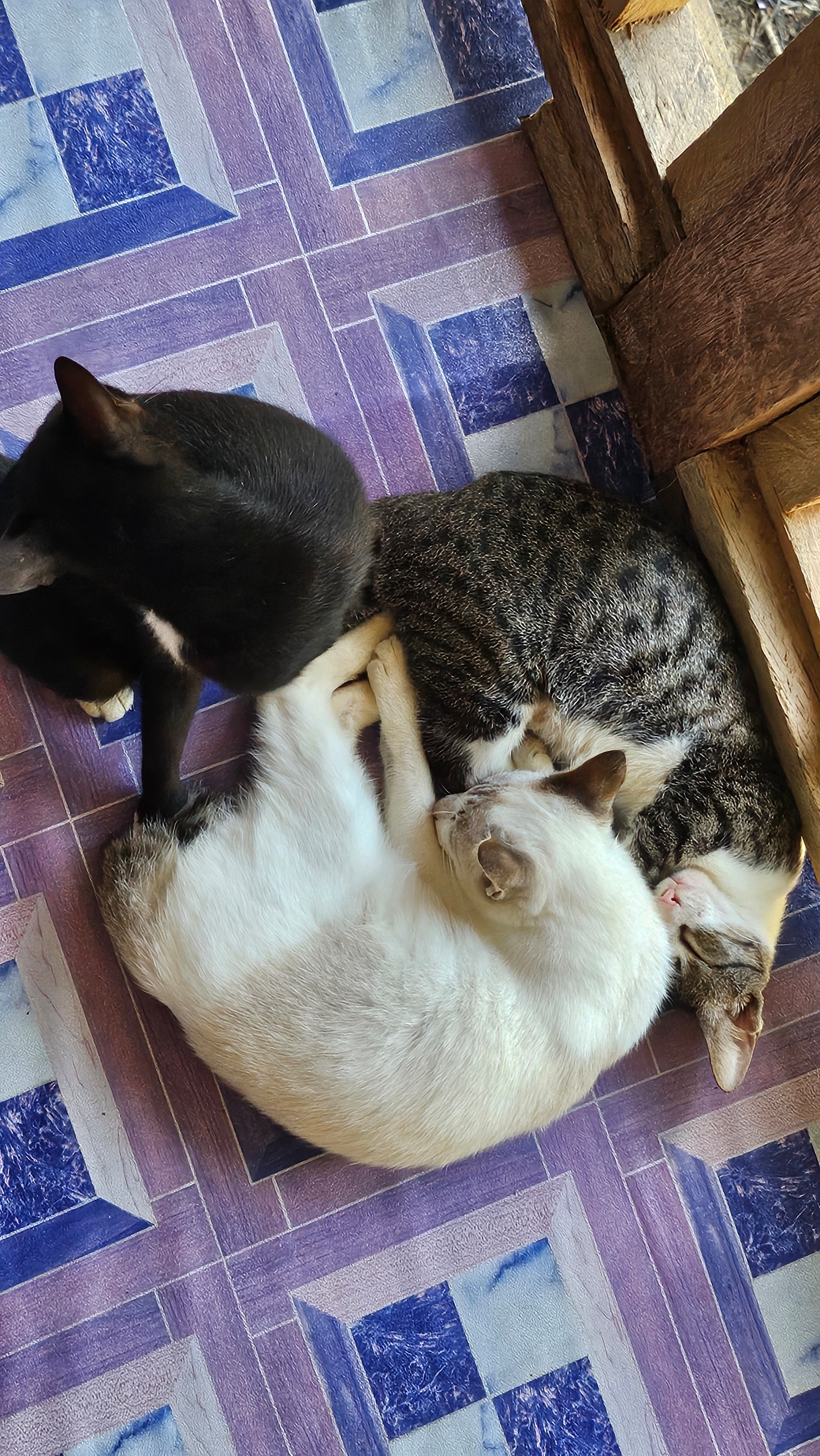 작성자 프로필 이미지