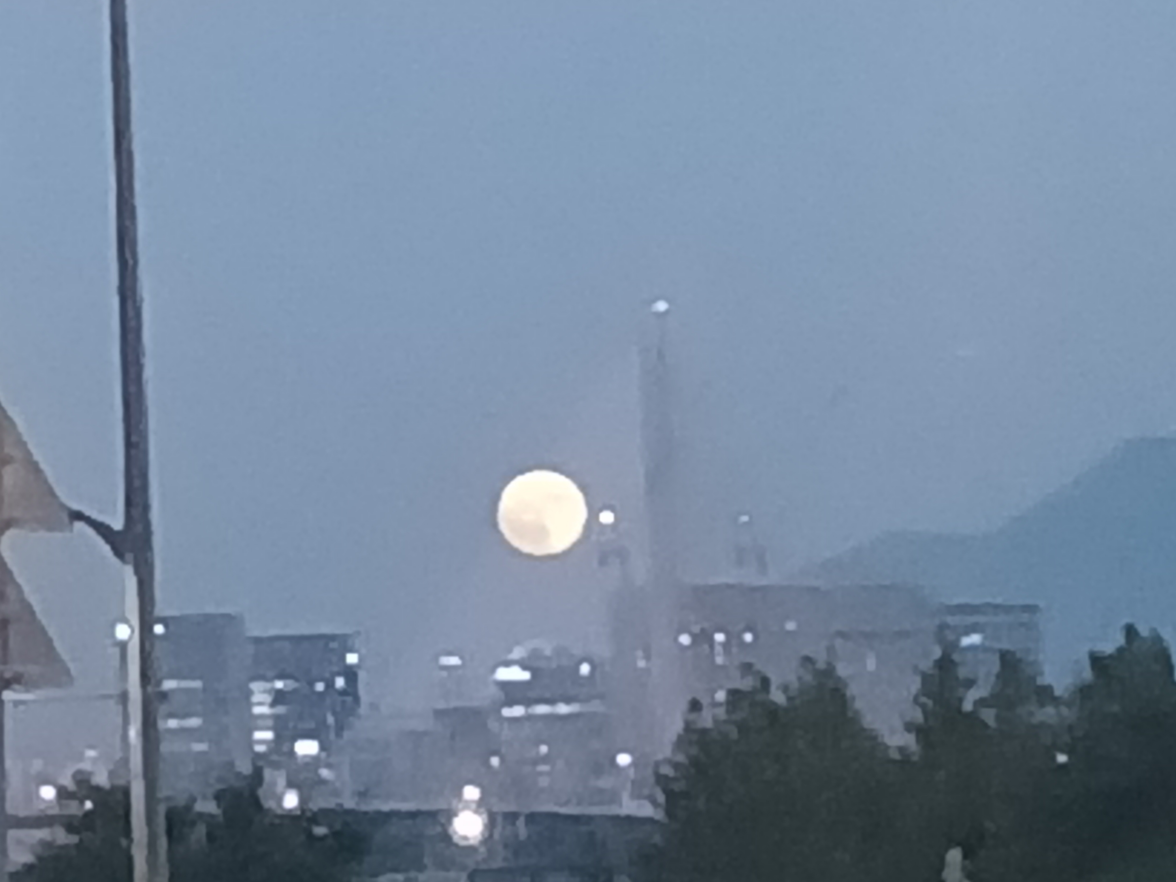 작성자 프로필 이미지