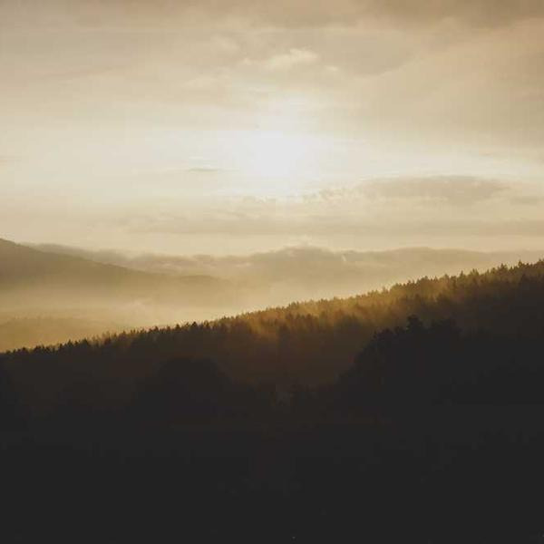 작성자 프로필 이미지