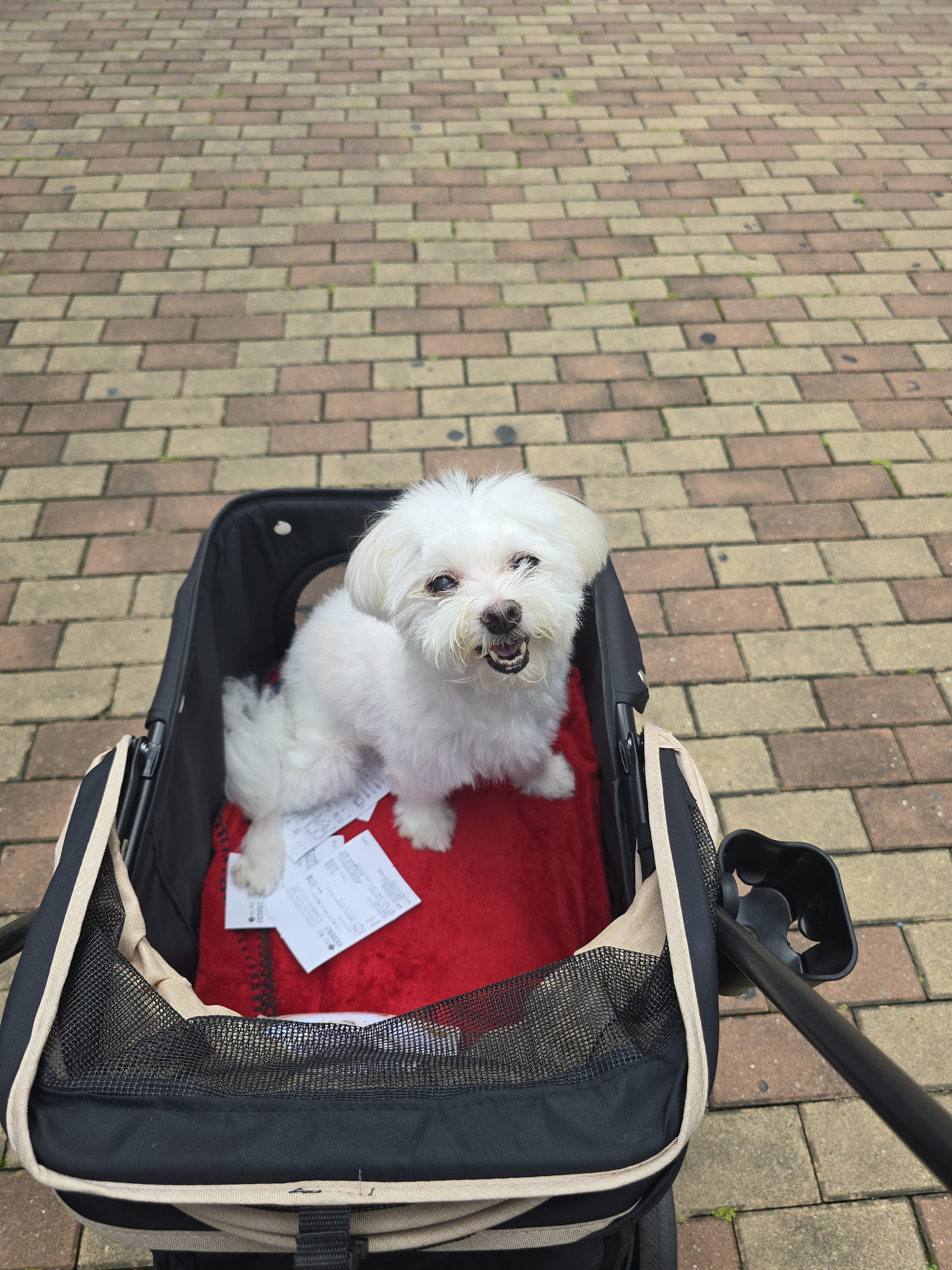 작성자 프로필 이미지