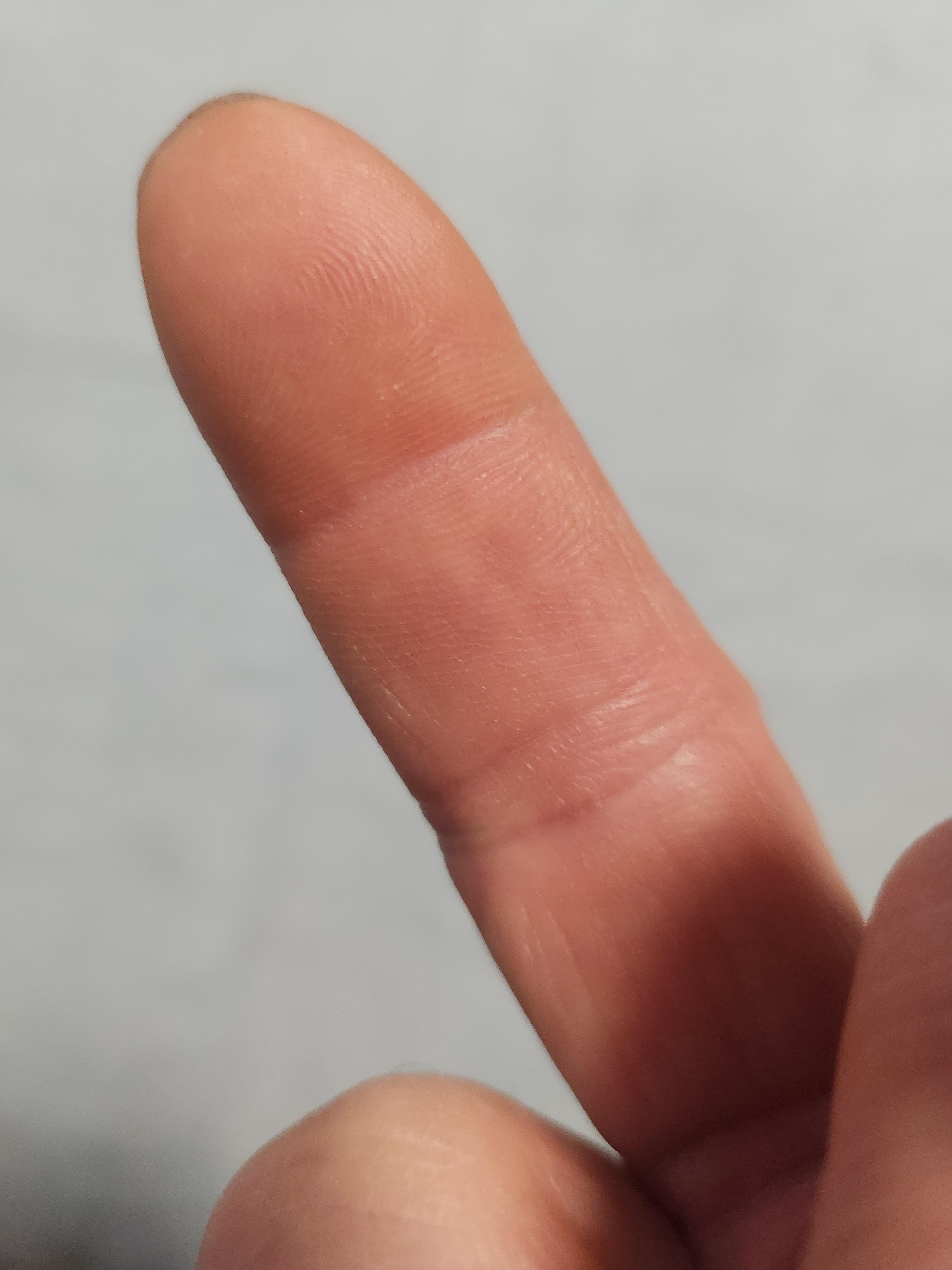 작성자 프로필 이미지