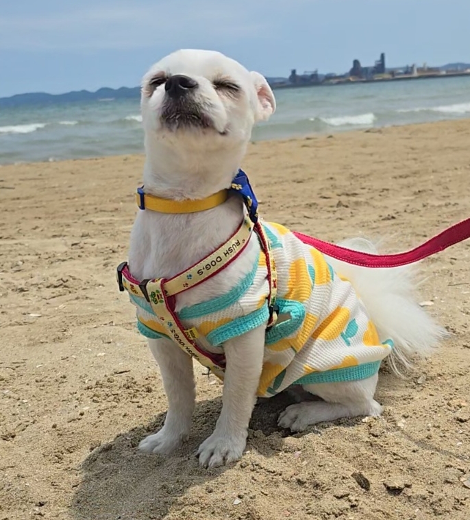 작성자 프로필 이미지