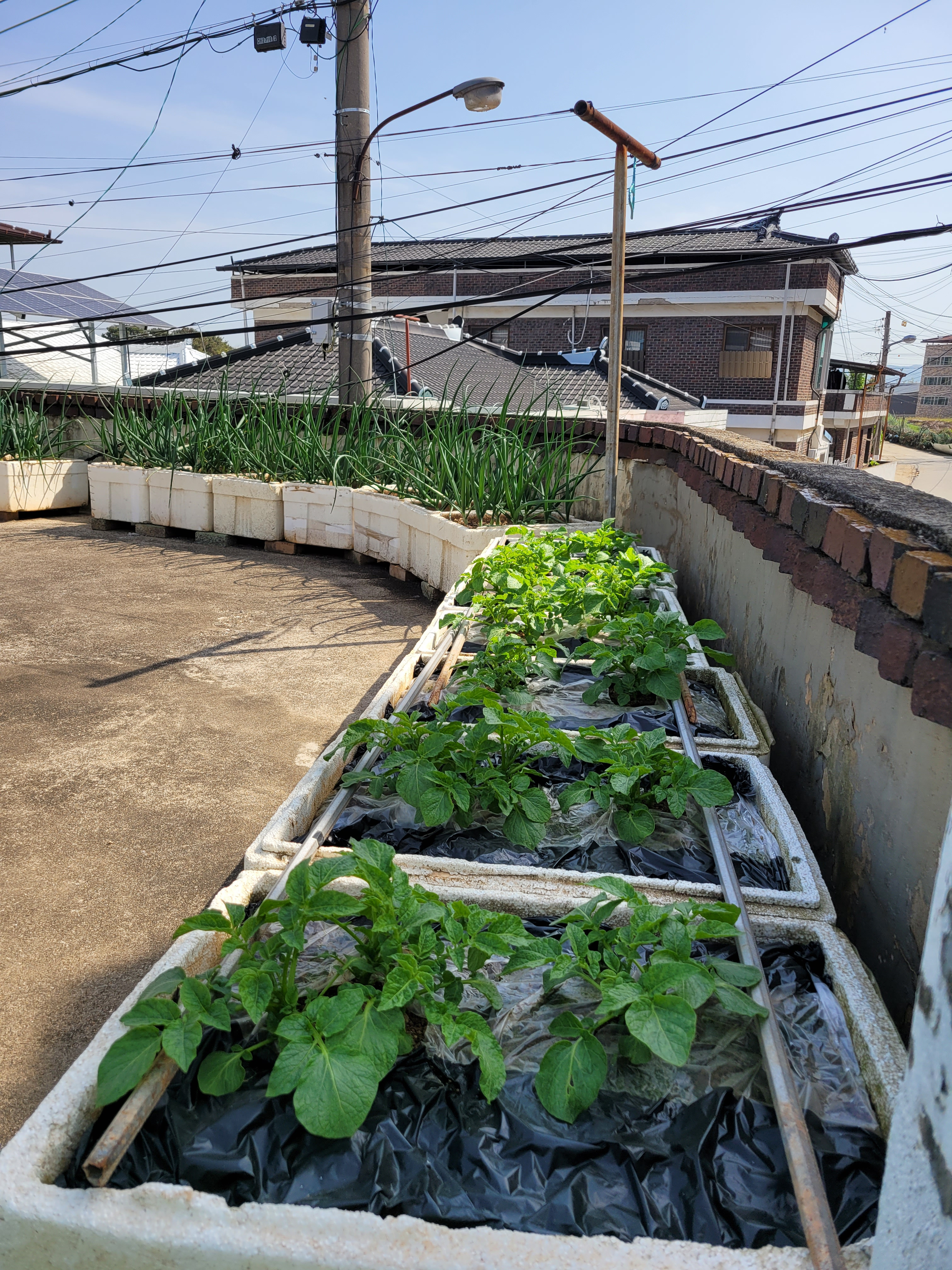 작성자 프로필 이미지