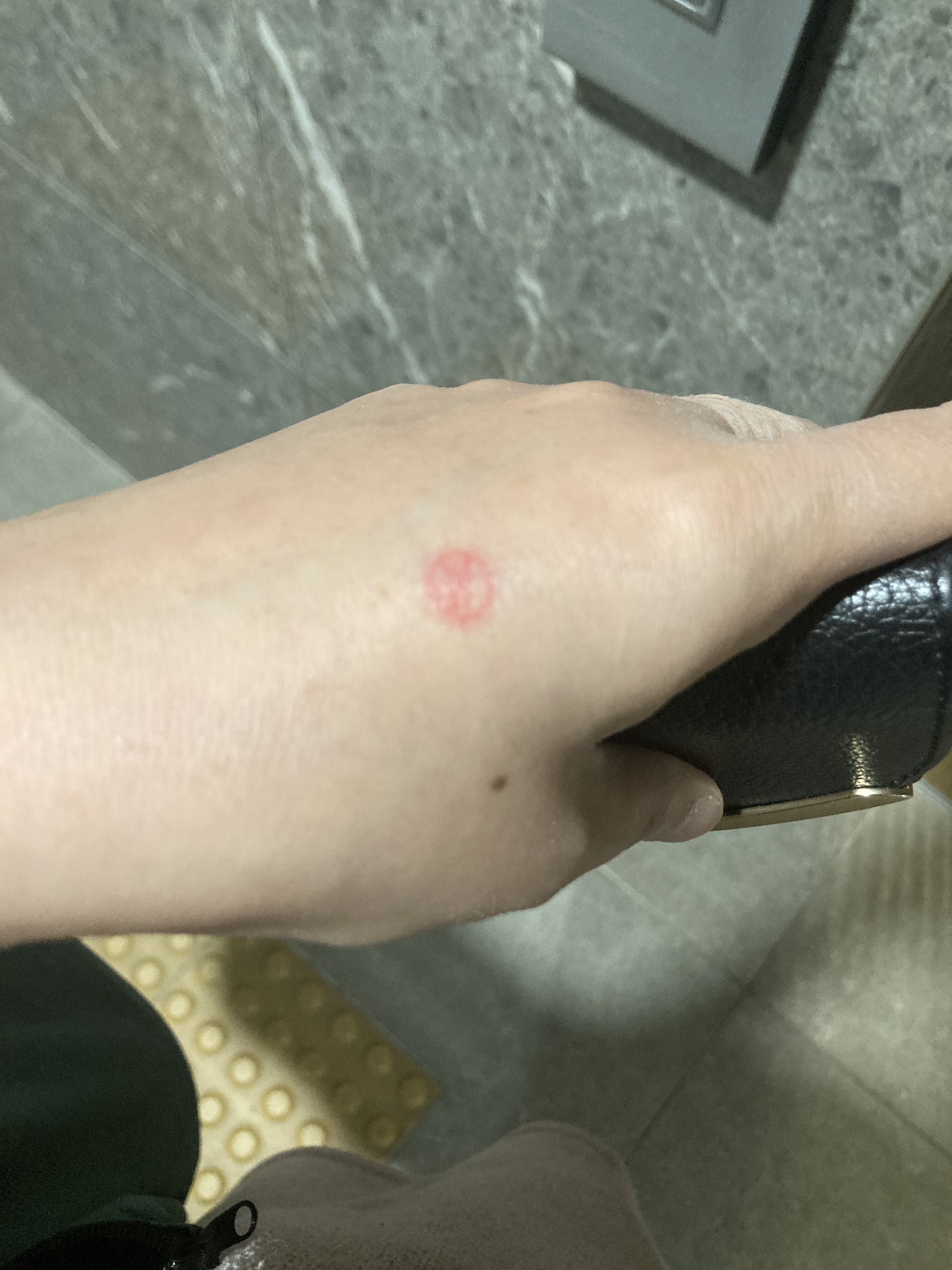 작성자 프로필 이미지