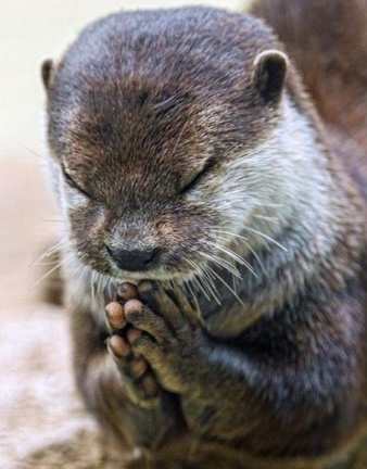 작성자 프로필 이미지