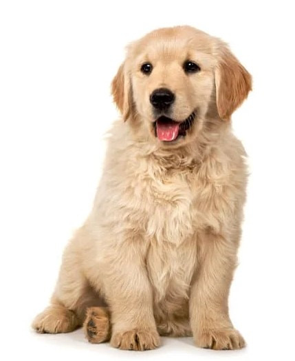 작성자 프로필 이미지