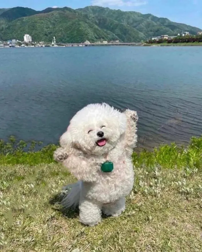 작성자 프로필 이미지