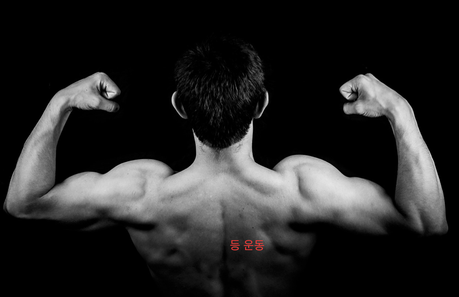 작성자 프로필 이미지