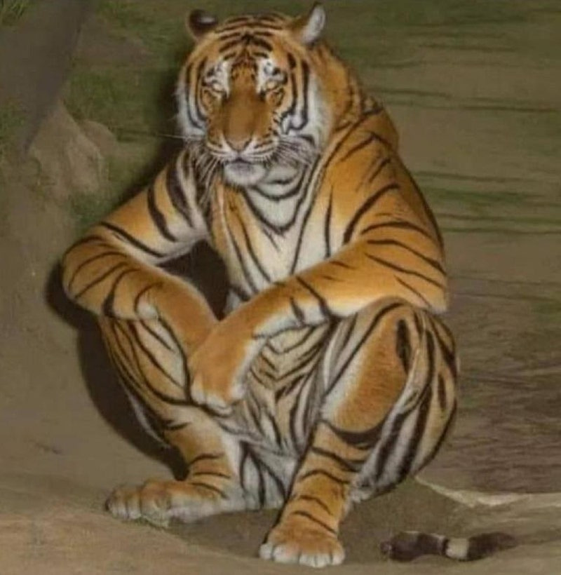 작성자 프로필 이미지