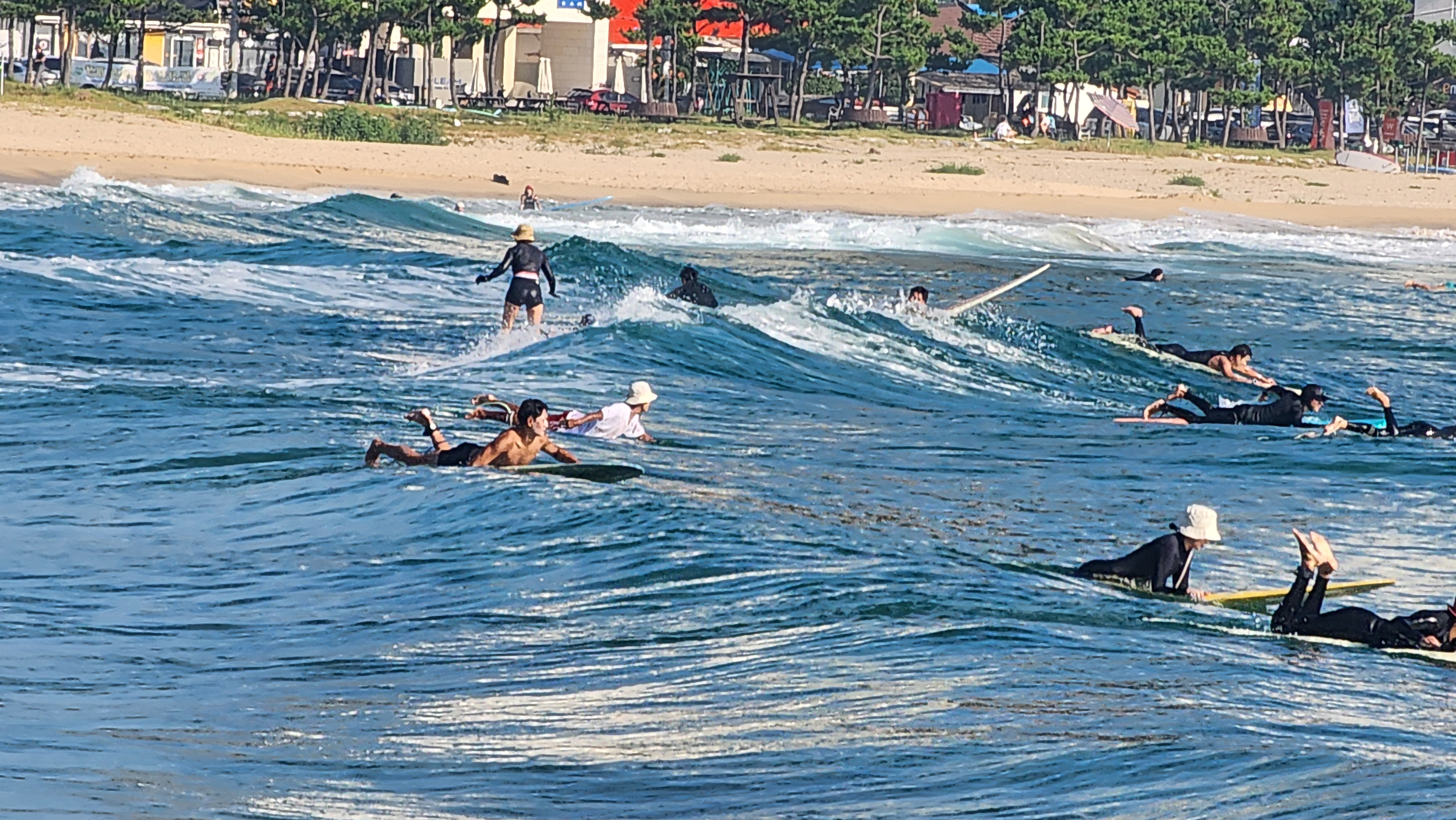 작성자 프로필 이미지