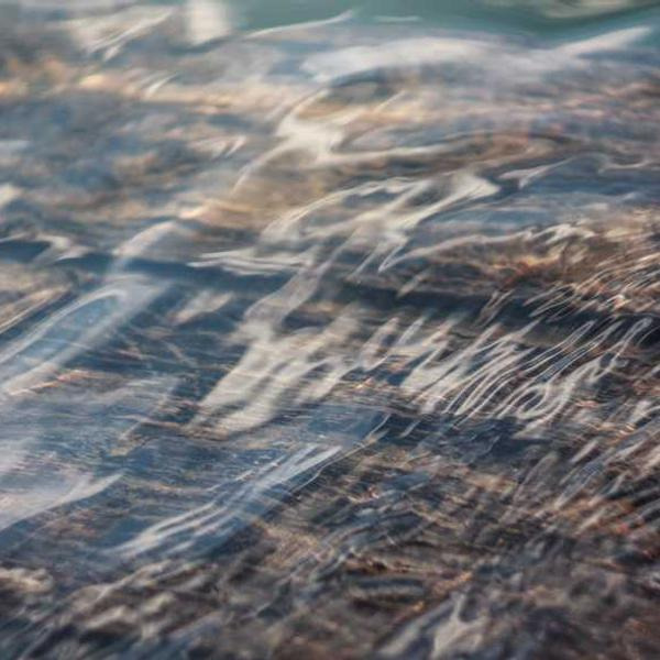 작성자 프로필 이미지