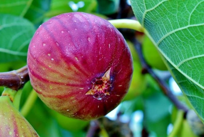 작성자 프로필 이미지