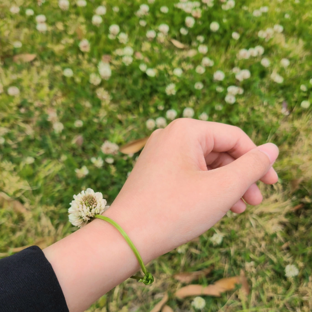 작성자 프로필 이미지