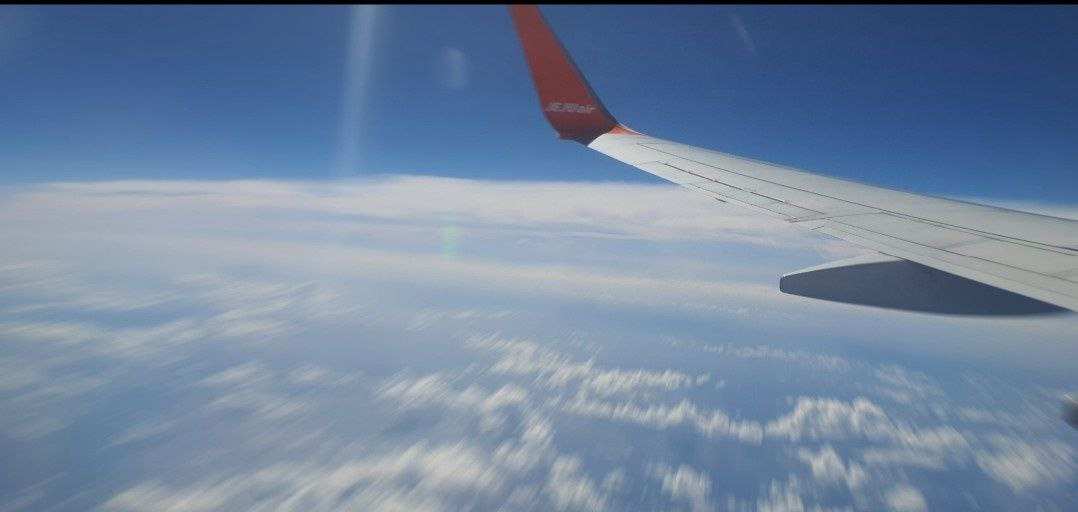 작성자 프로필 이미지