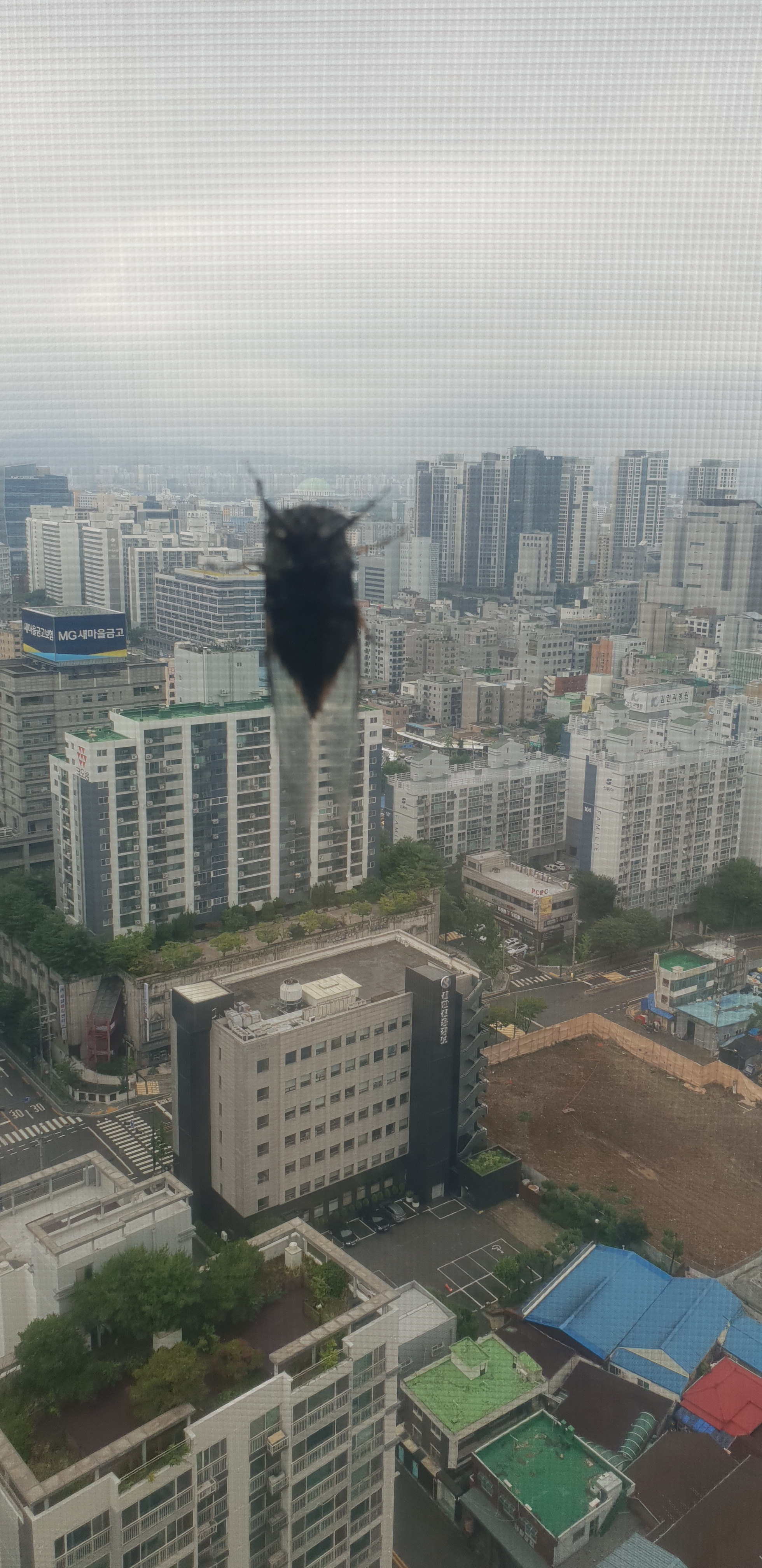 작성자 프로필 이미지