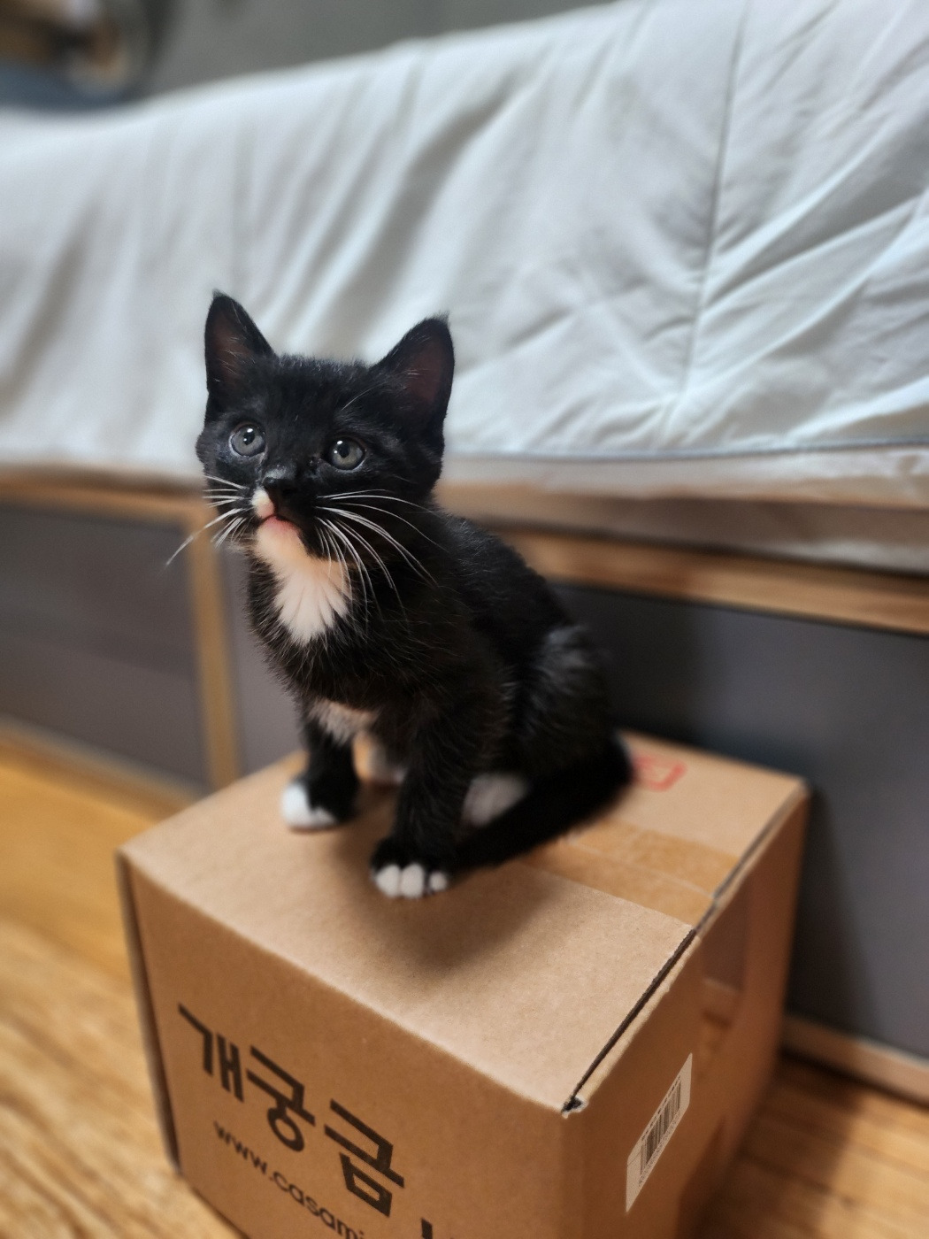 작성자 프로필 이미지