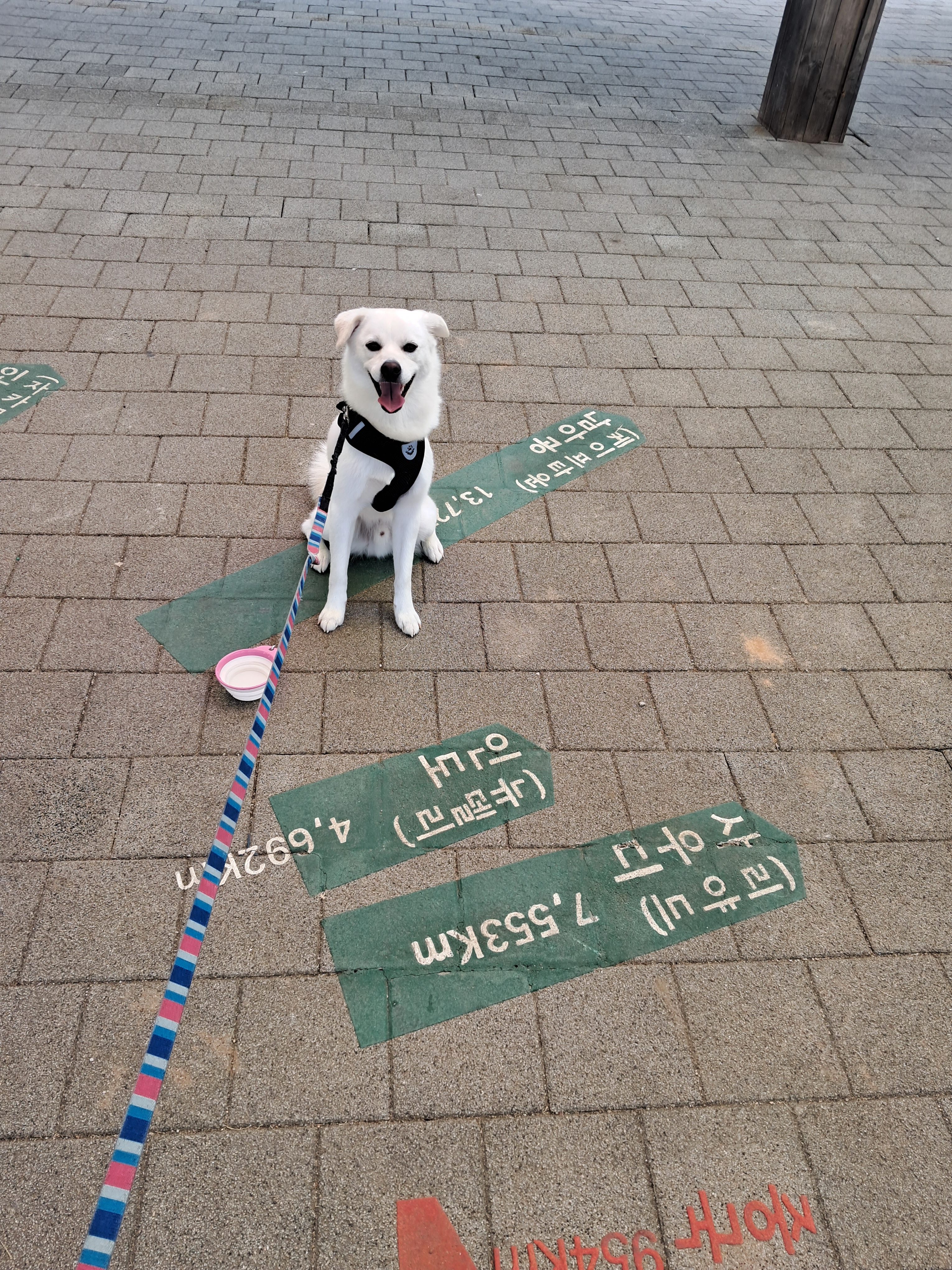 작성자 프로필 이미지