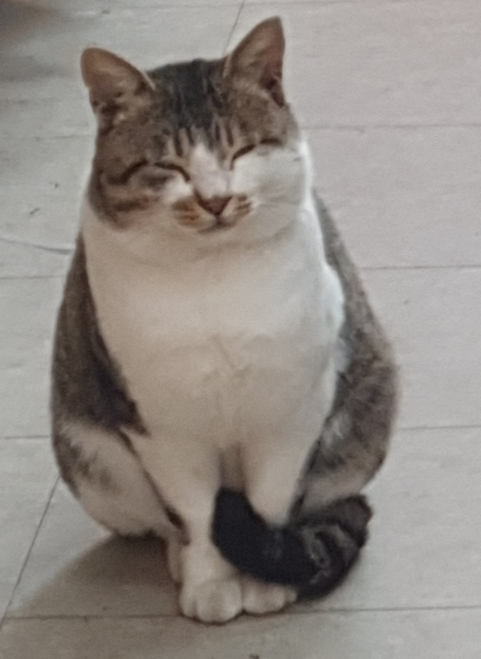 작성자 프로필 이미지