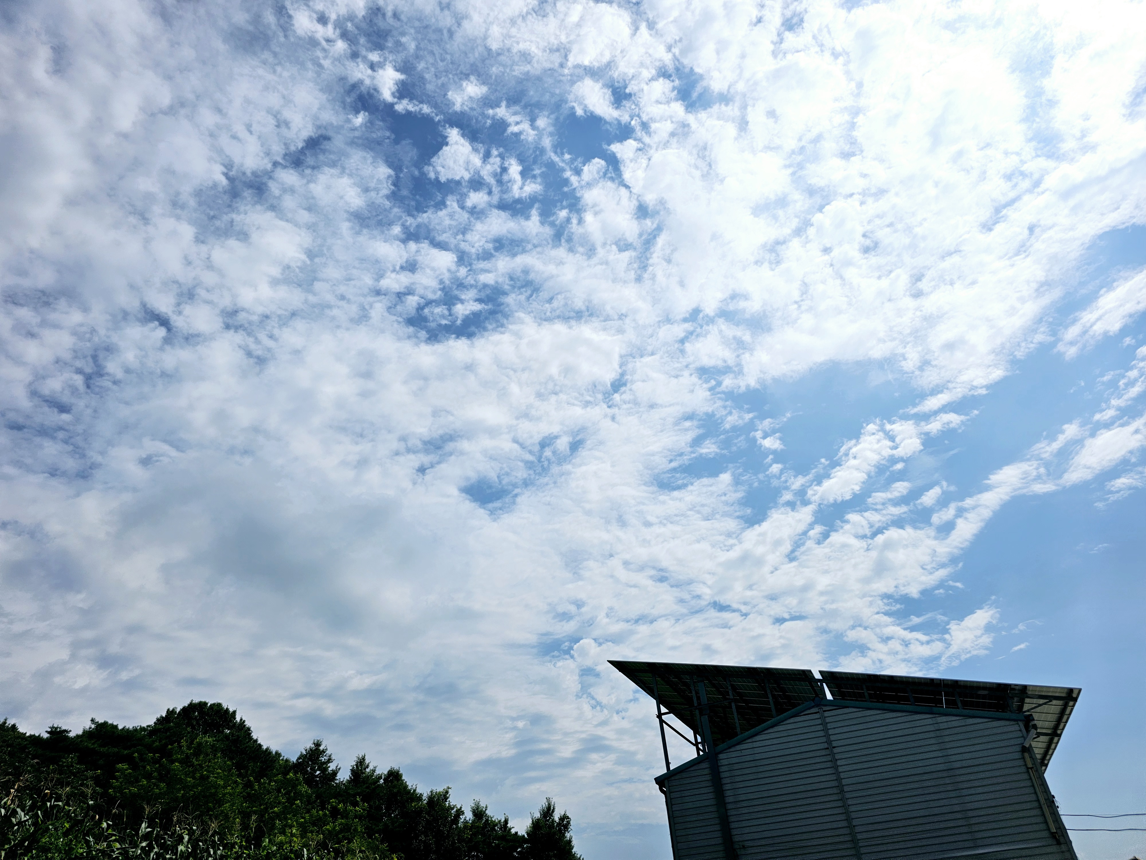 작성자 프로필 이미지