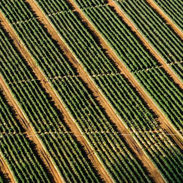 작성자 프로필 이미지