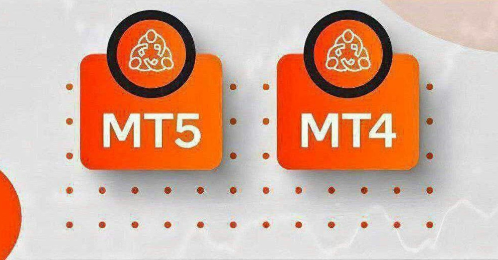 작성자 프로필 이미지