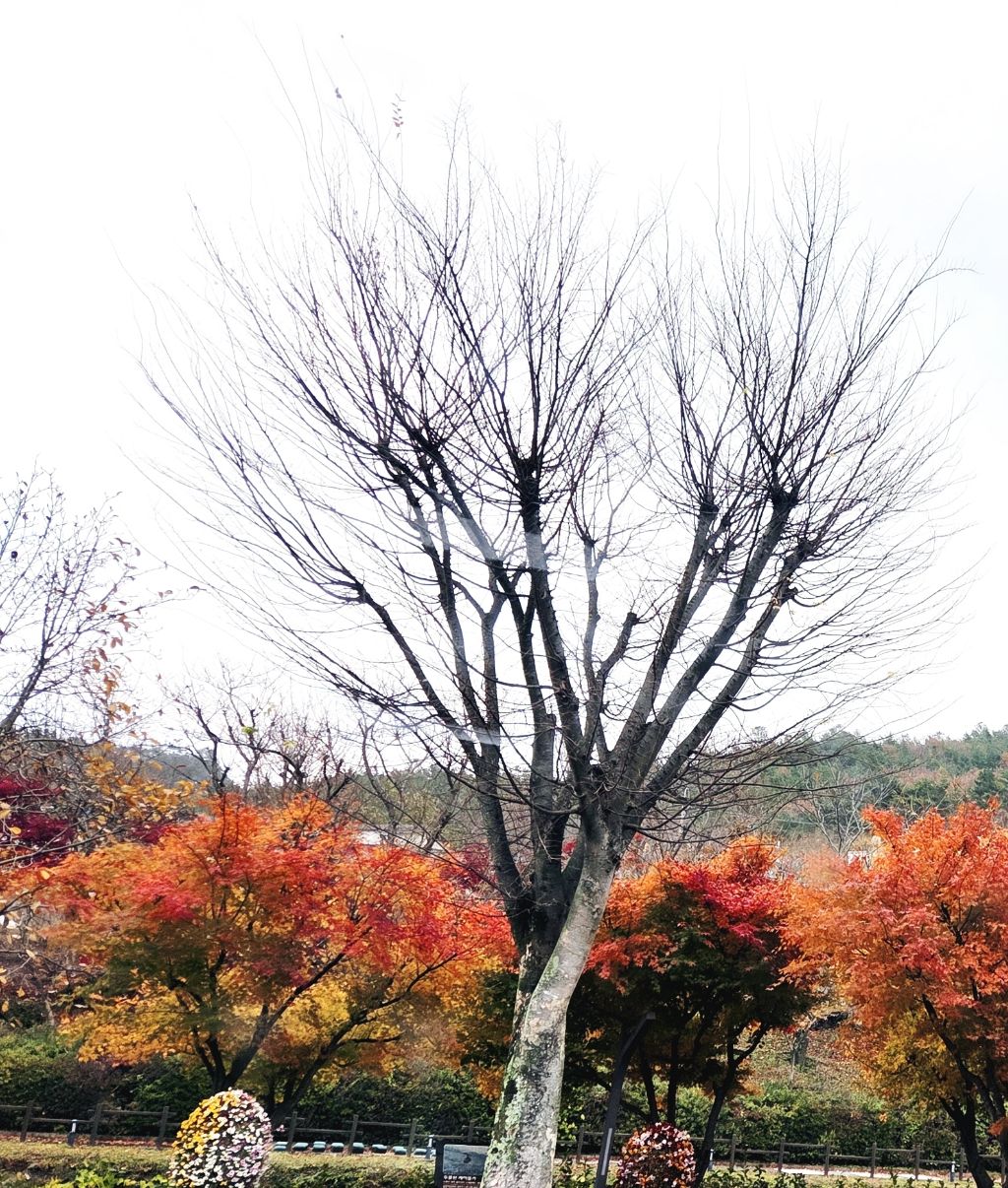 작성자 프로필 이미지