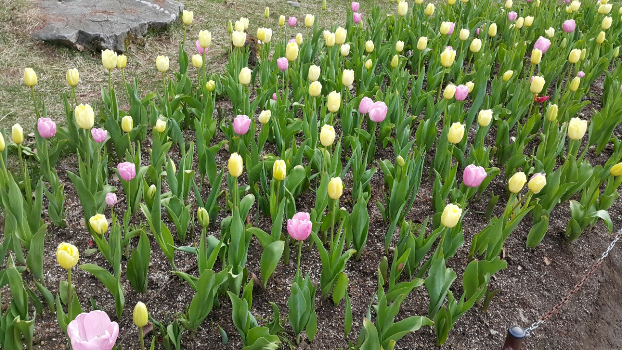 작성자 프로필 이미지